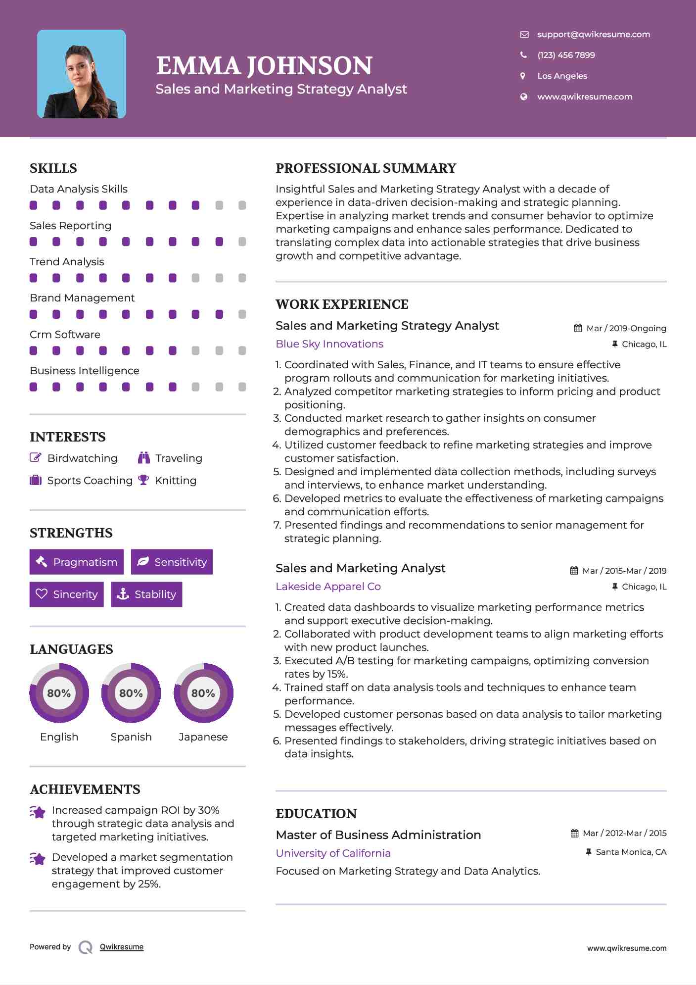 Sales and Marketing Strategy Analyst Resume Template