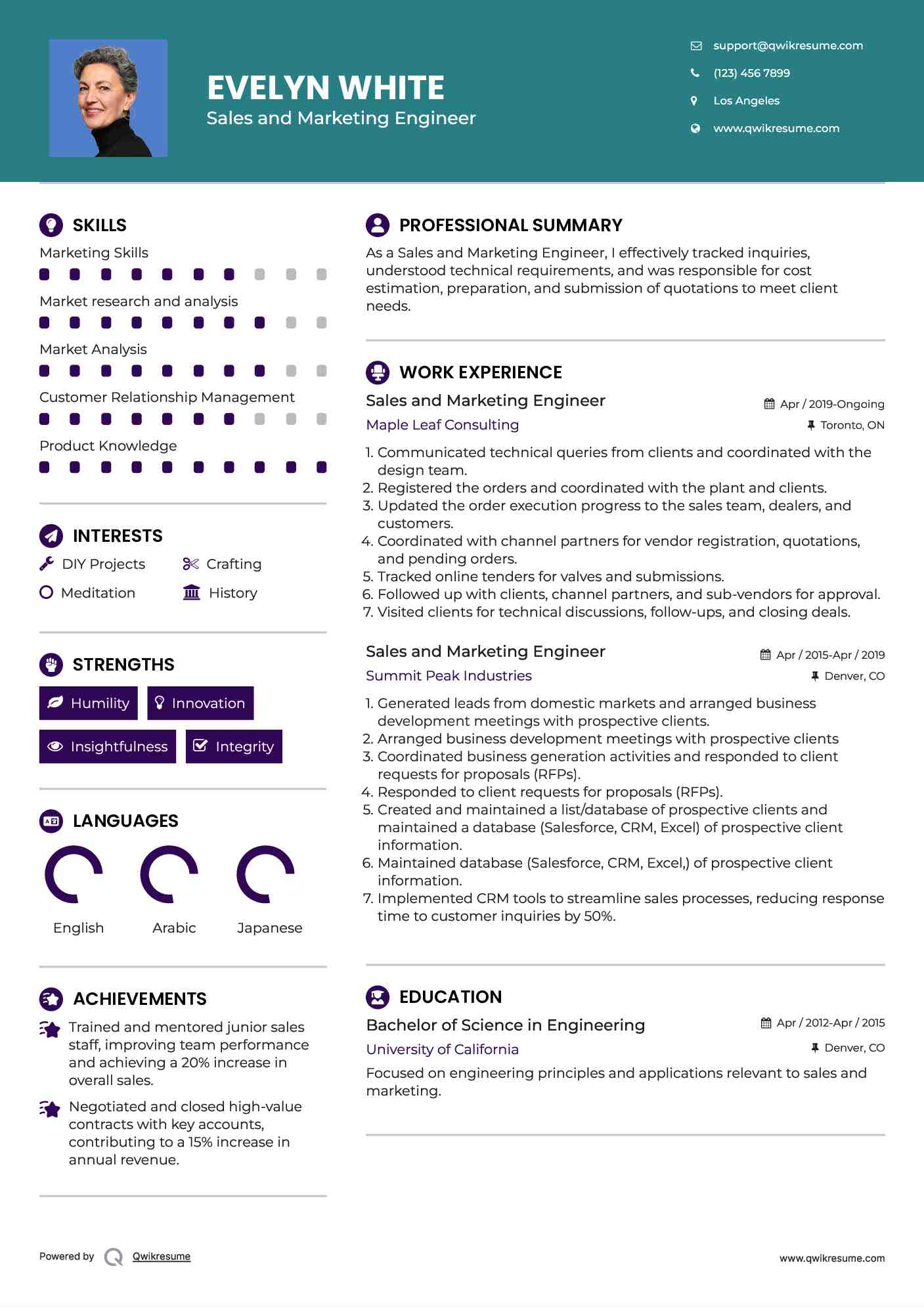 Sales and Marketing Engineer Resume Template