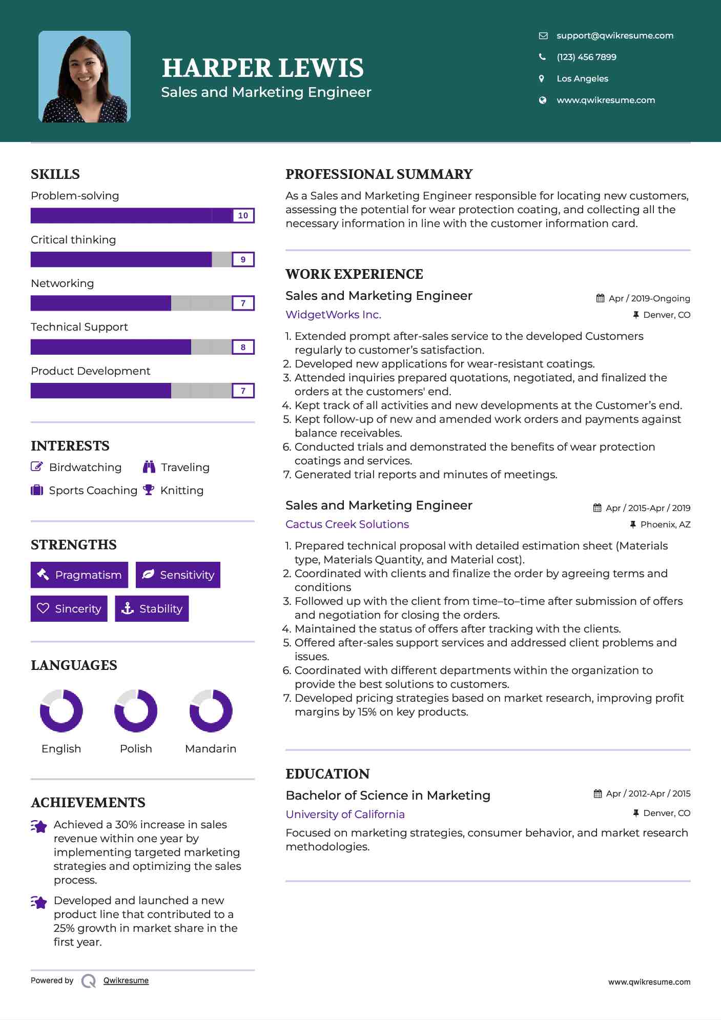 Sales and Marketing Engineer Resume Template