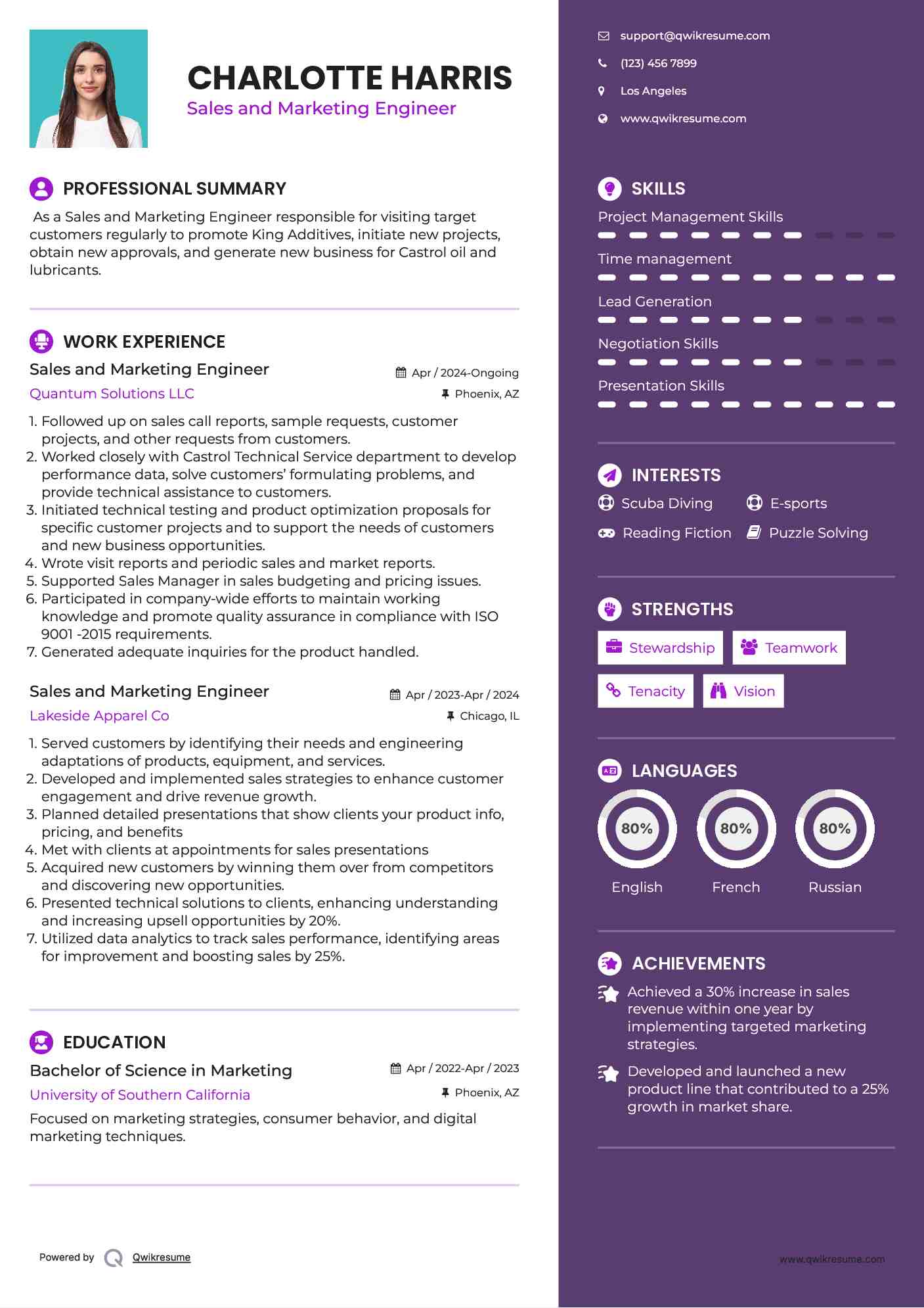 Sales and Marketing Engineer Resume Model