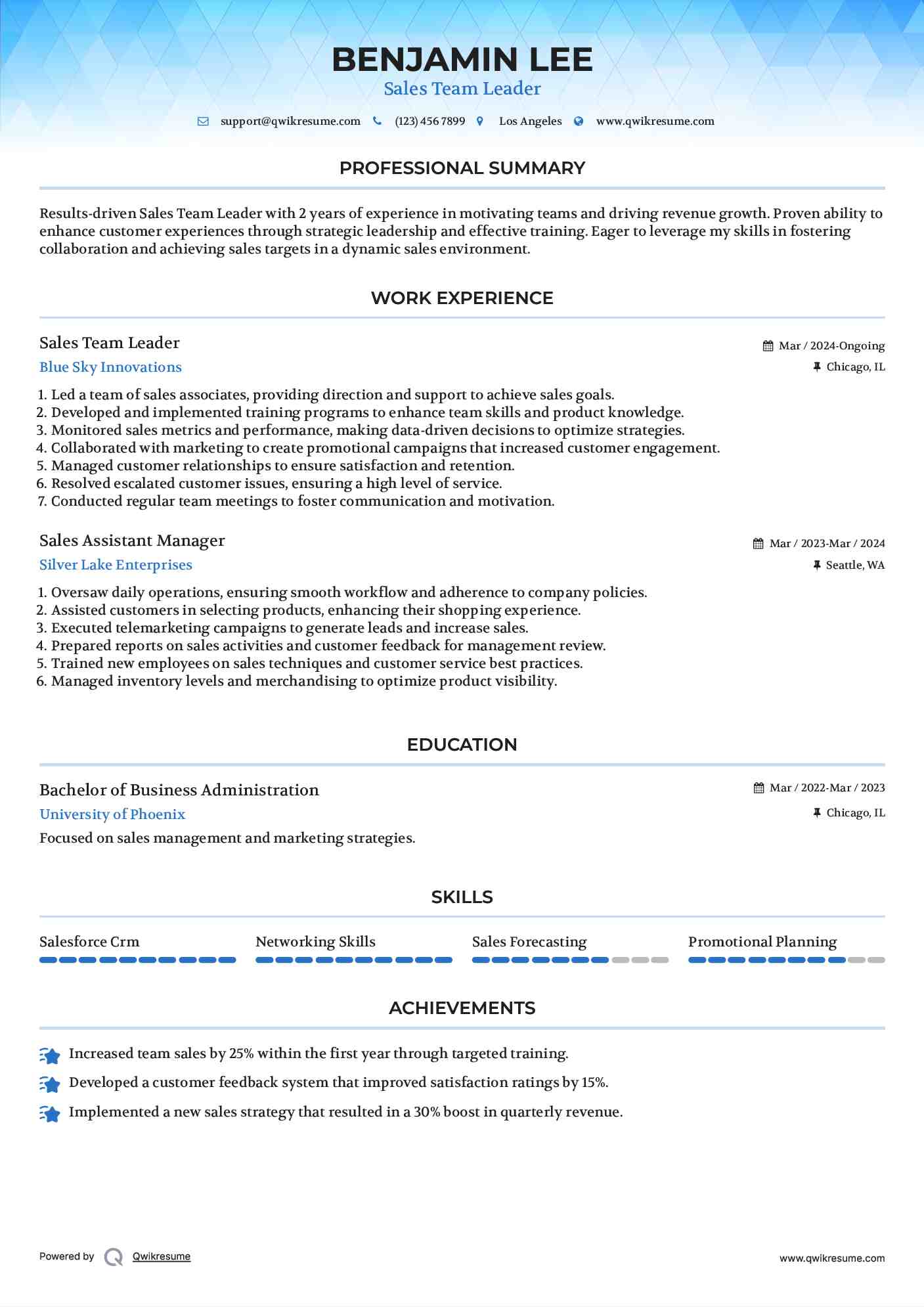 Sales Team Leader Resume Format