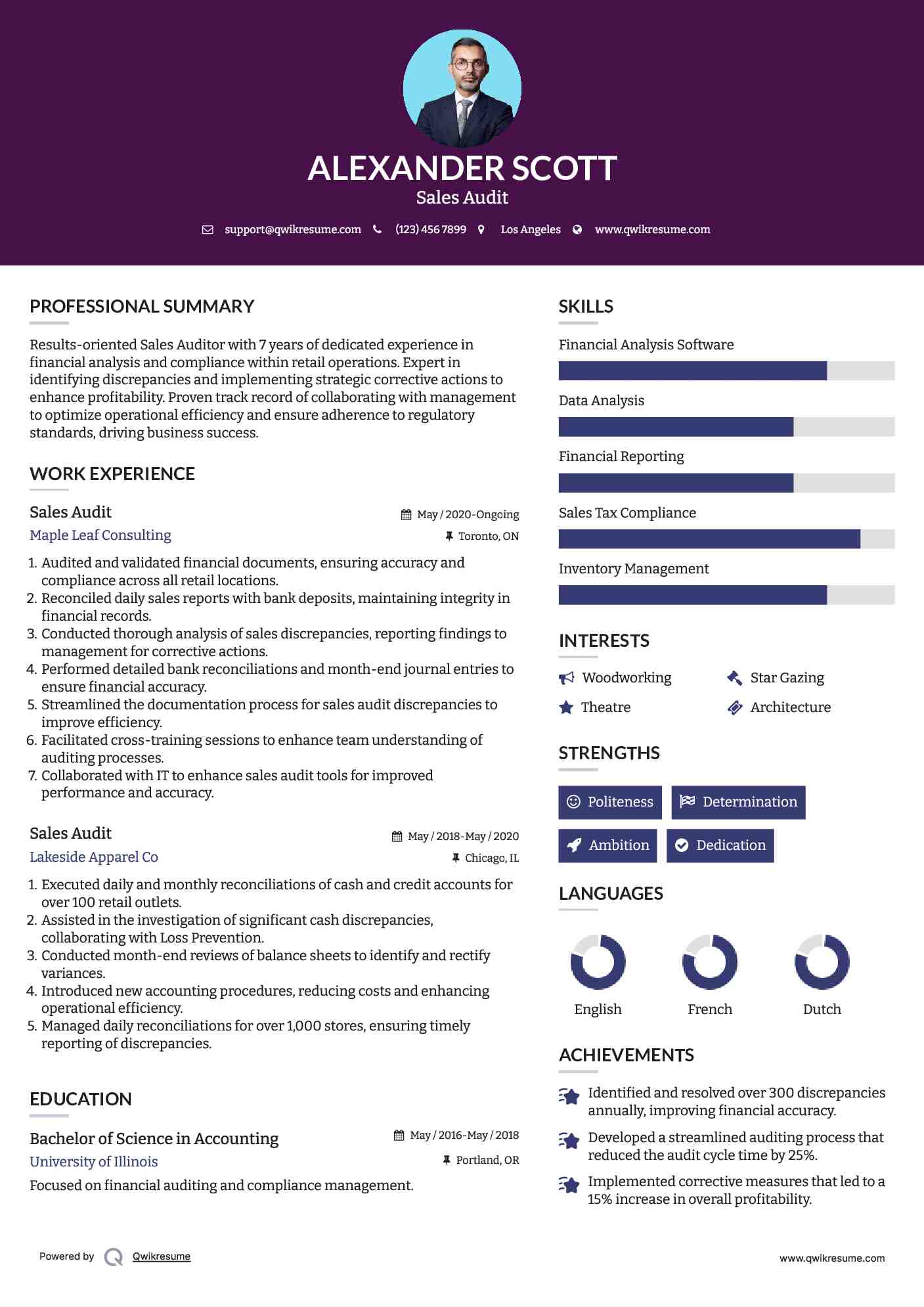 Sales Audit Resume Sample
