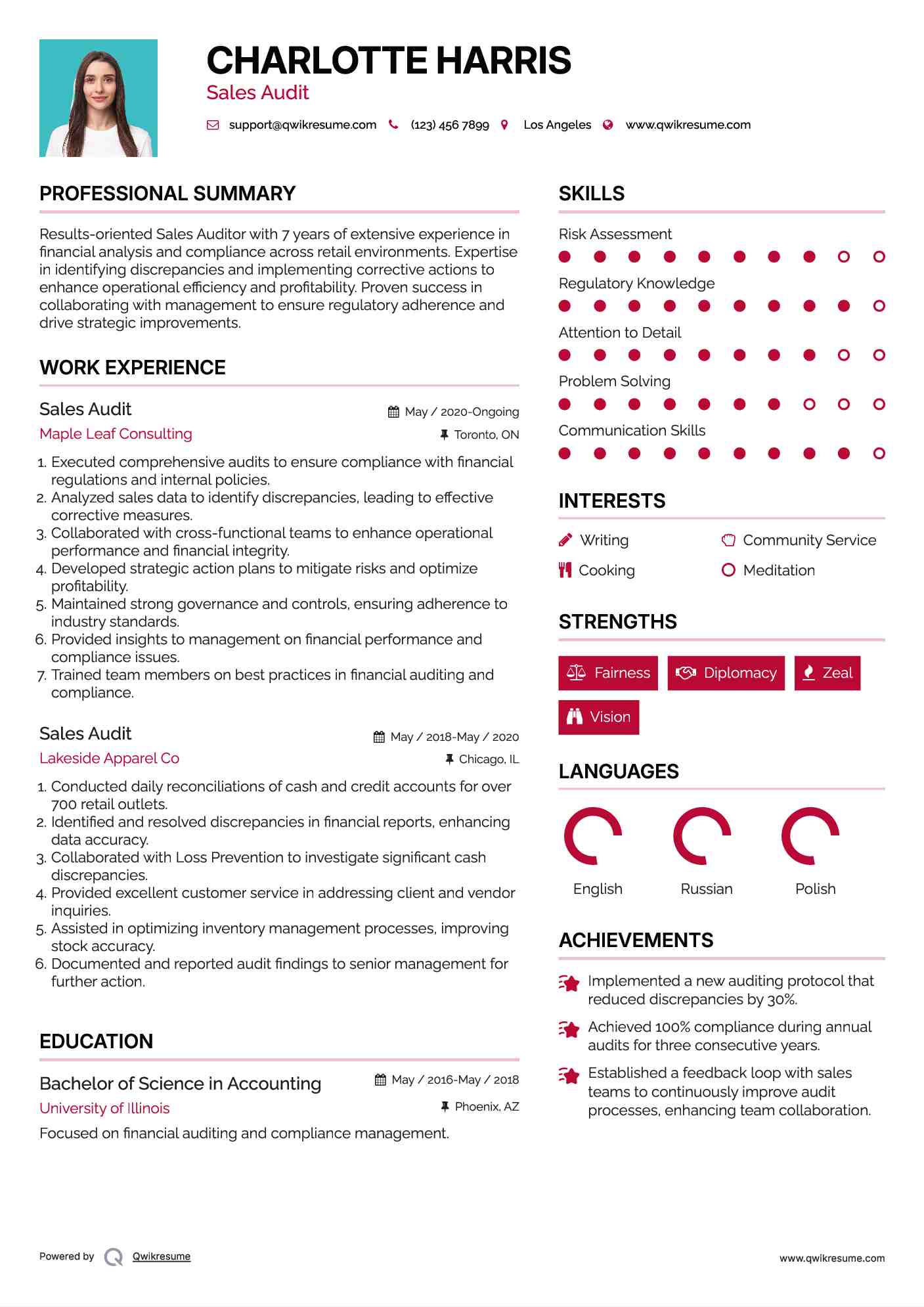 Sales Audit Resume Template