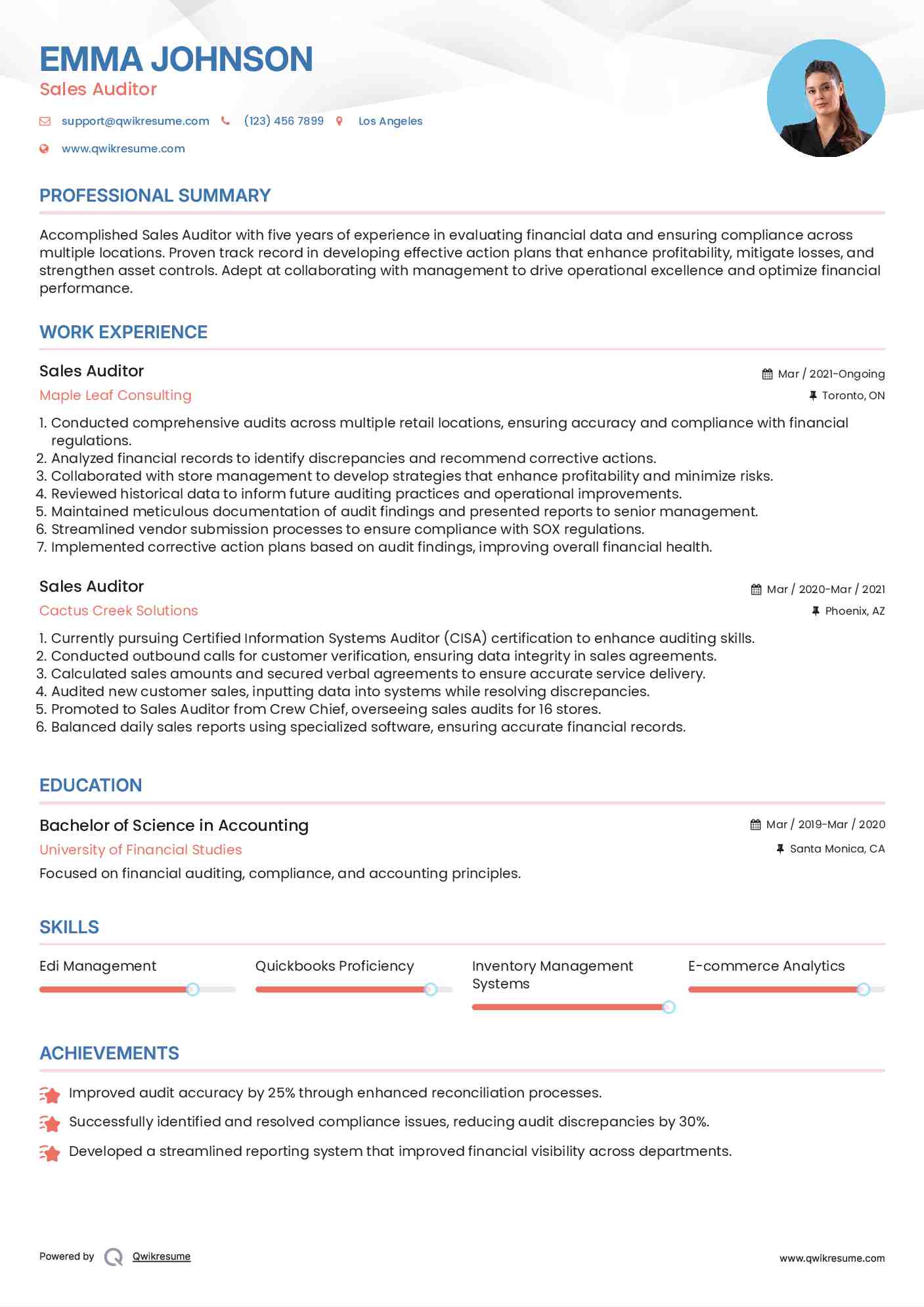 Sales Auditor Resume Model