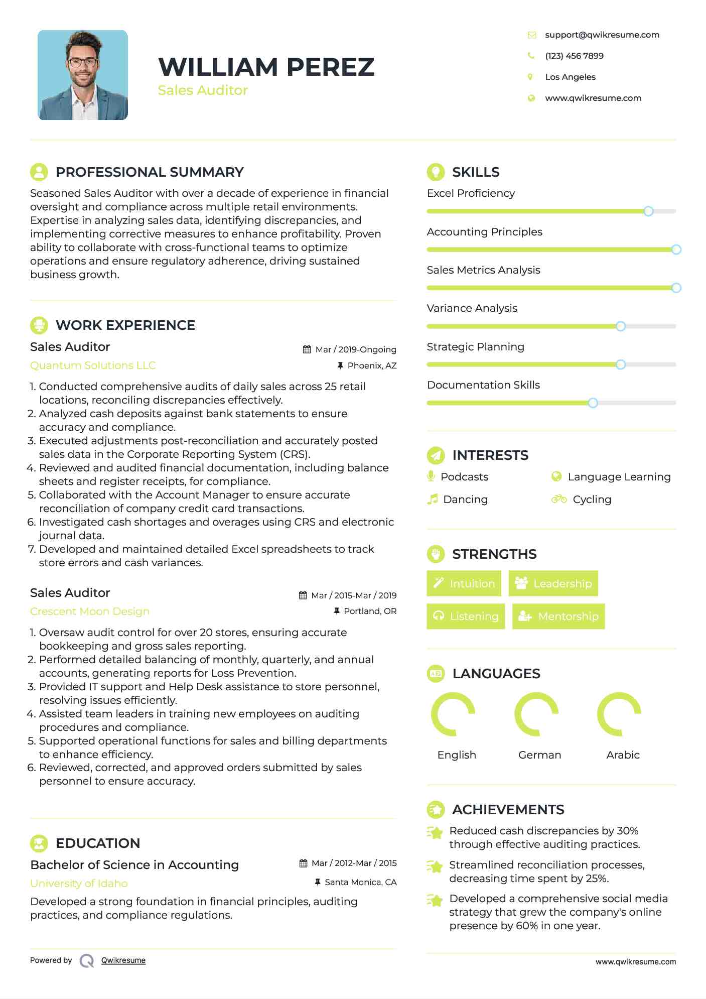 Sales Auditor Resume Example