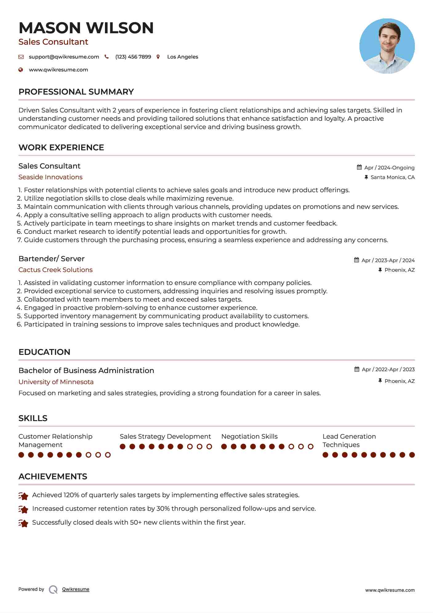 Sales Consultant Resume Template
