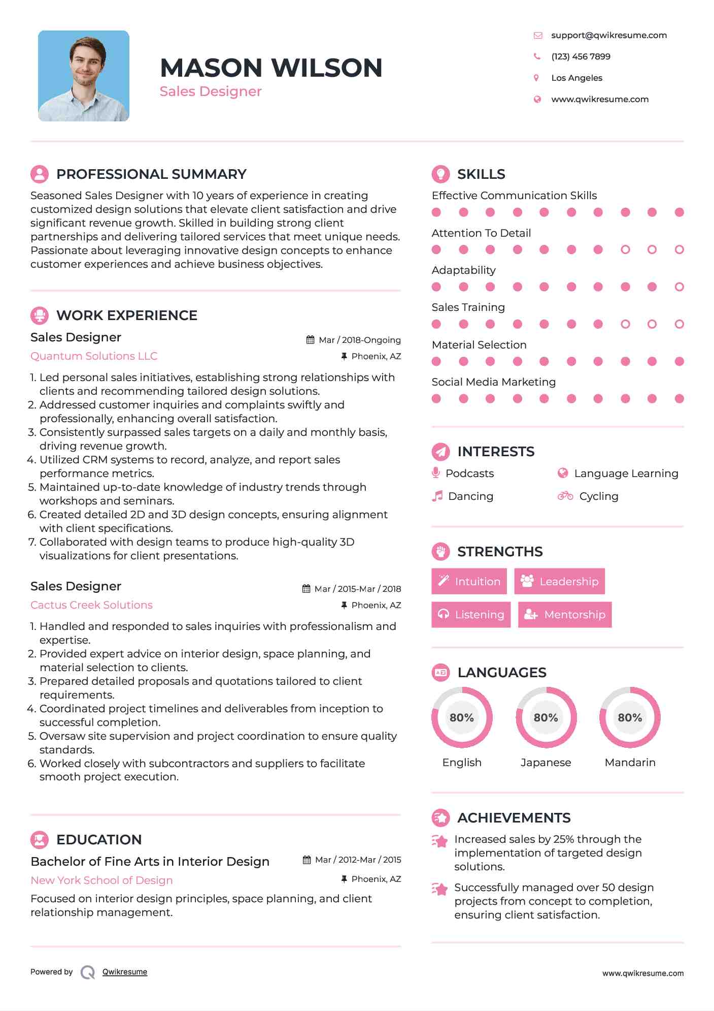 Sales Designer Resume Model