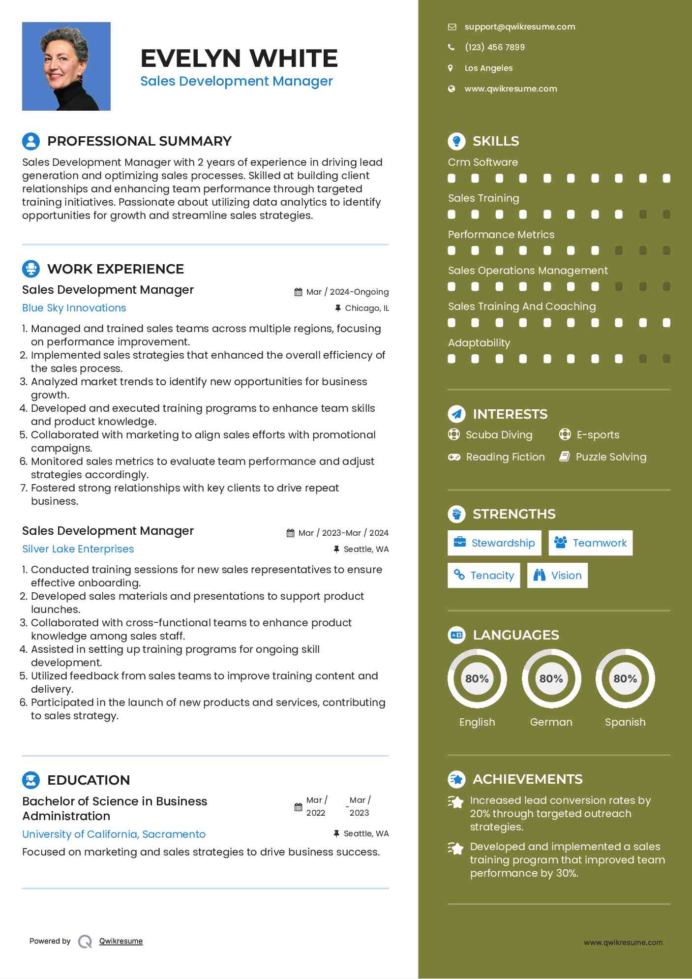 Sales Development Manager Resume Template