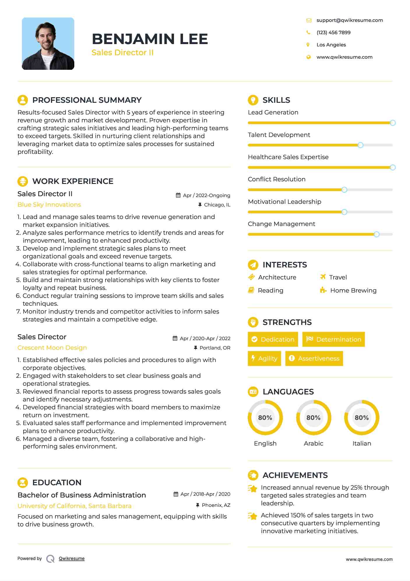 Sales Director Resume Samples - Sales Director 1564059954 Pdf 
