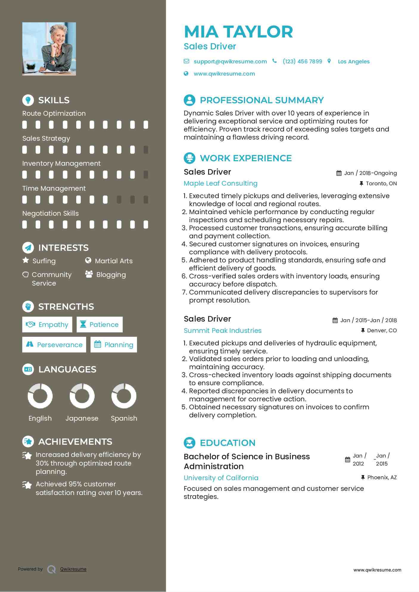 Sales Driver Resume Model