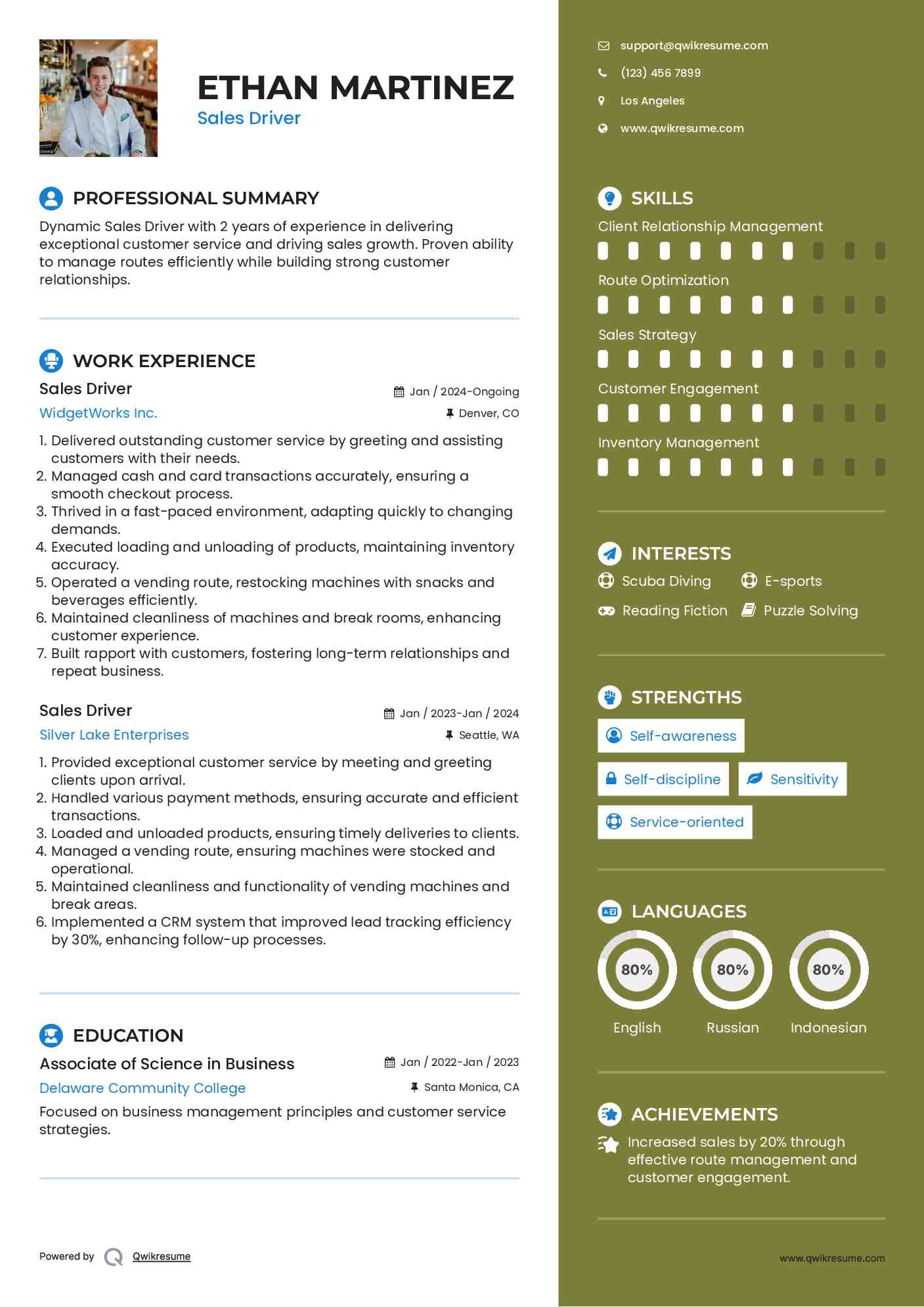 Sales Driver Resume Format