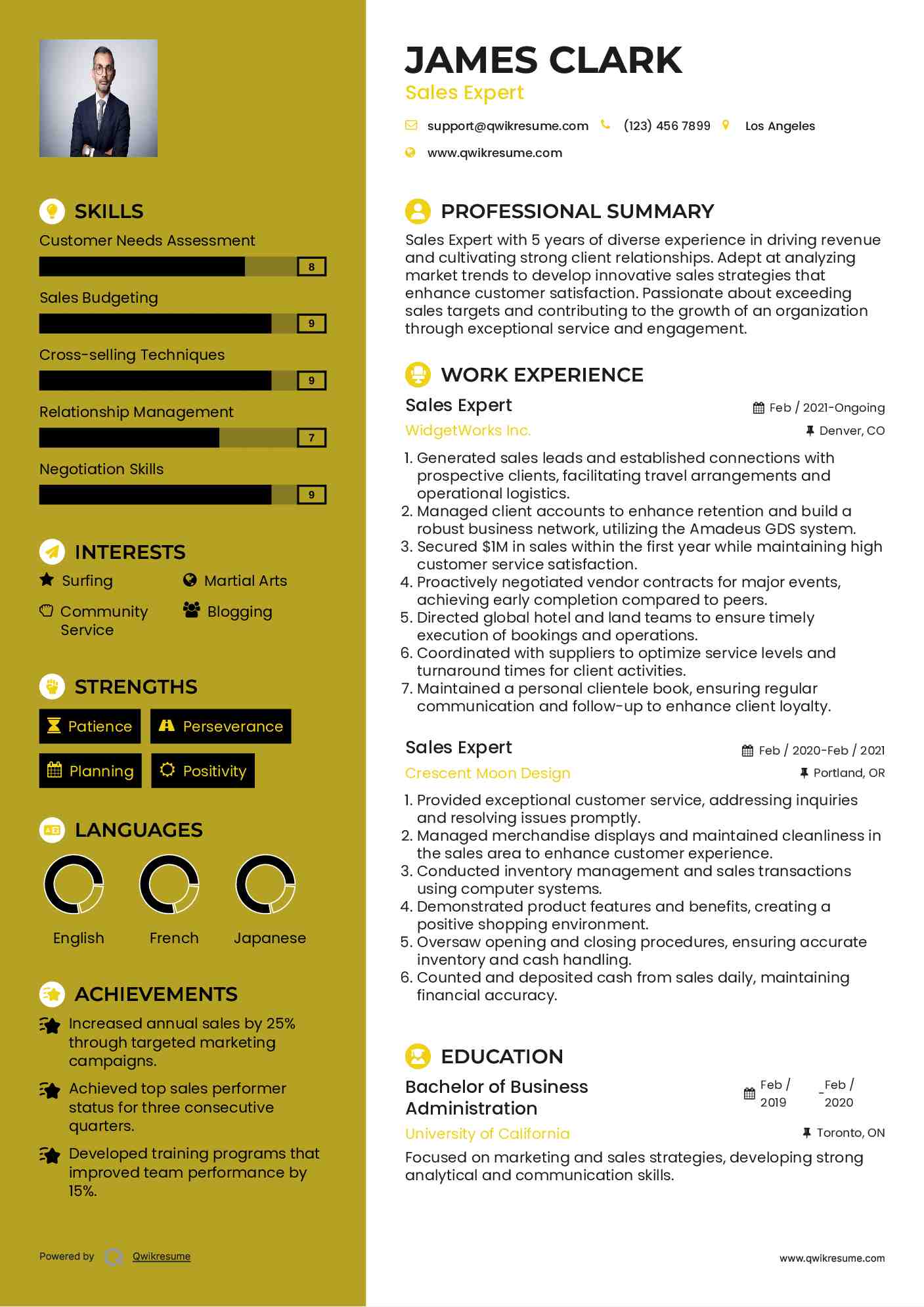 Sales Expert Resume Model