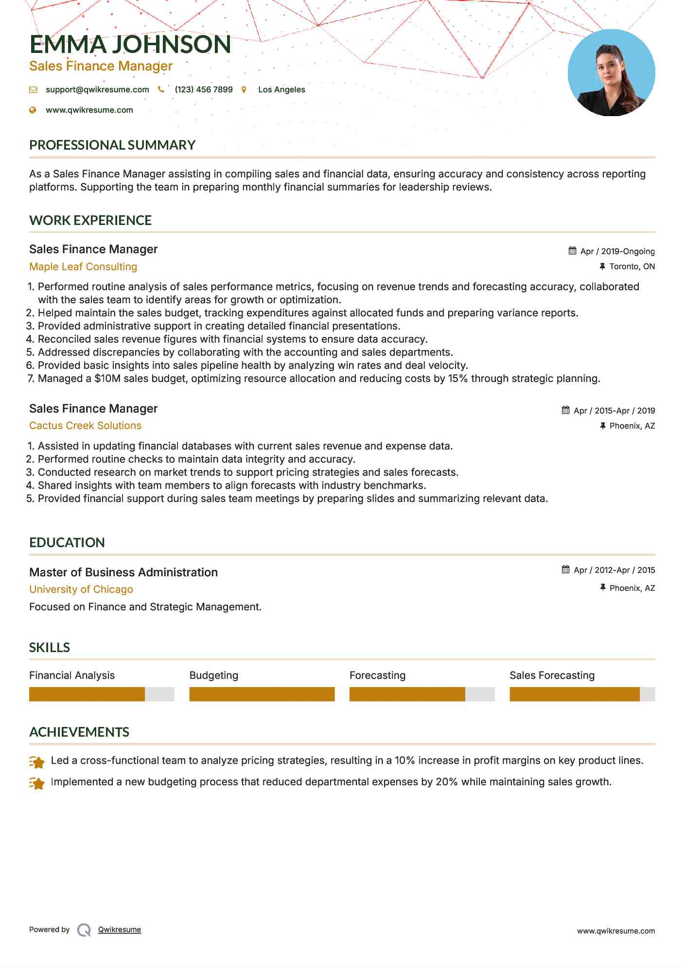 Sales Finance Manager Resume Format