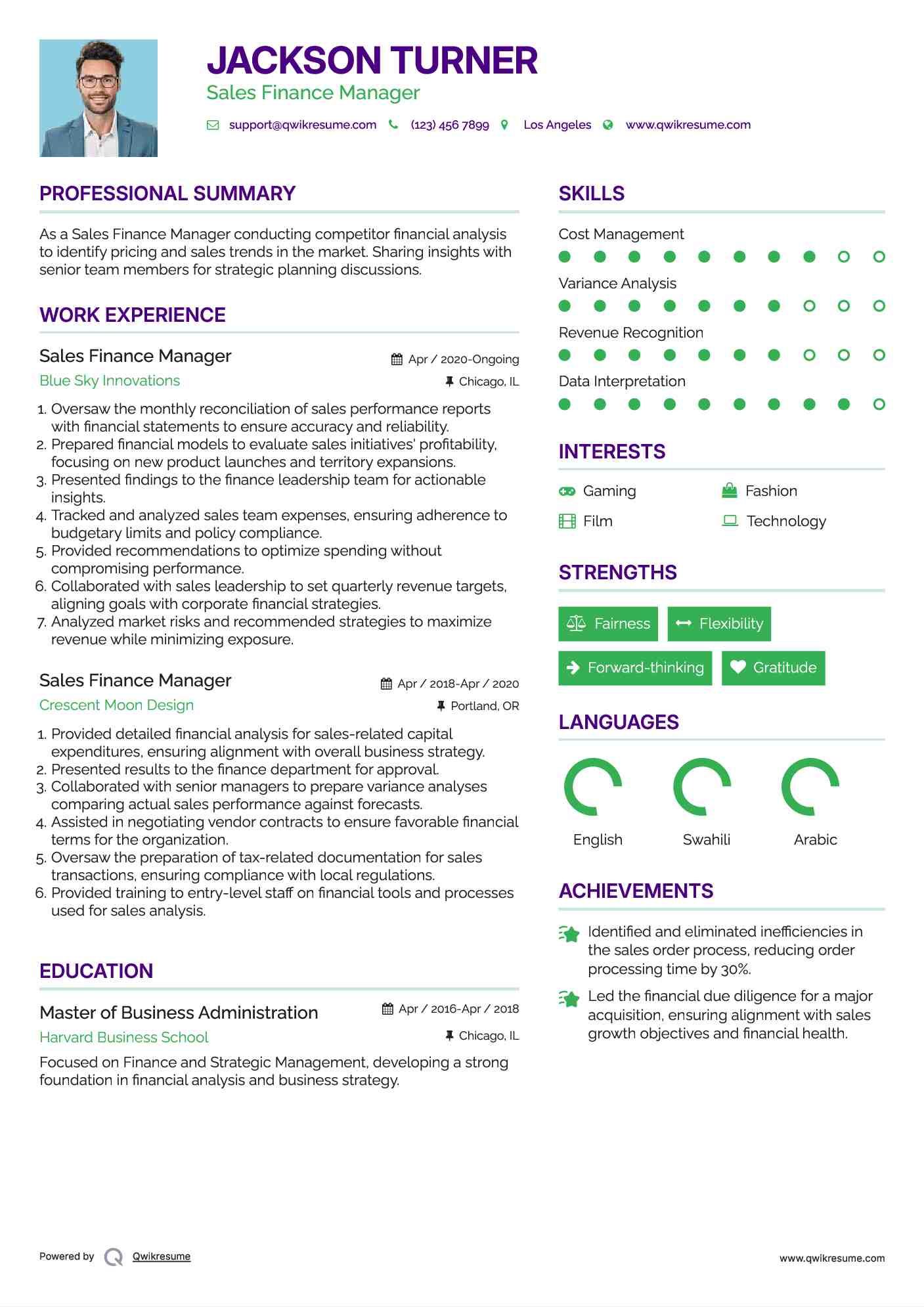 Sales Finance Manager Resume Model