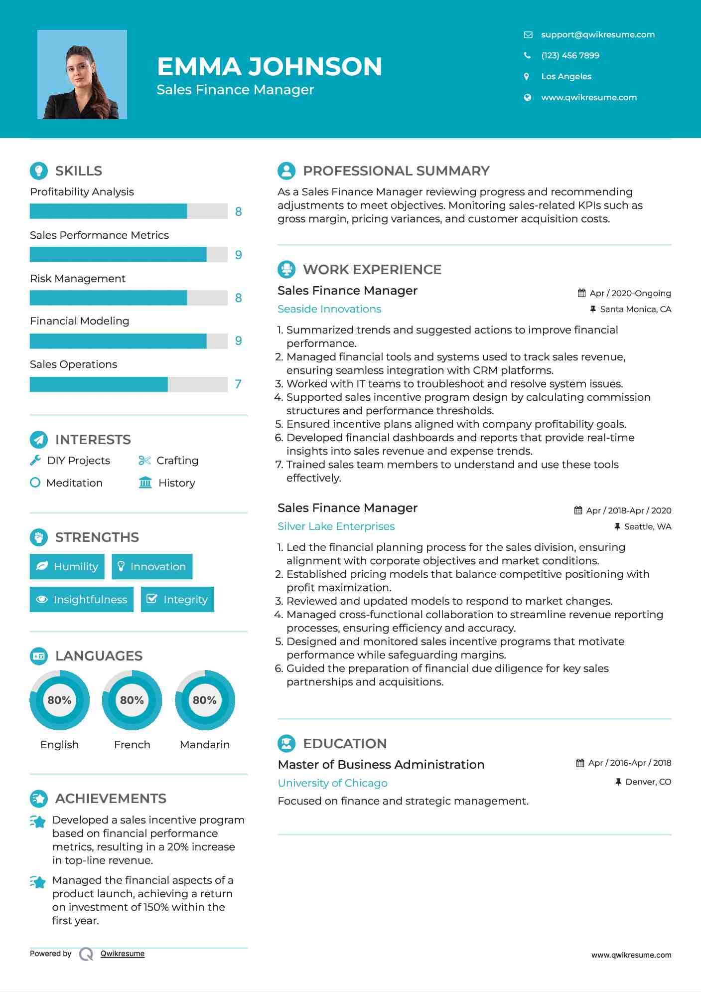 Sales Finance Manager Resume Example