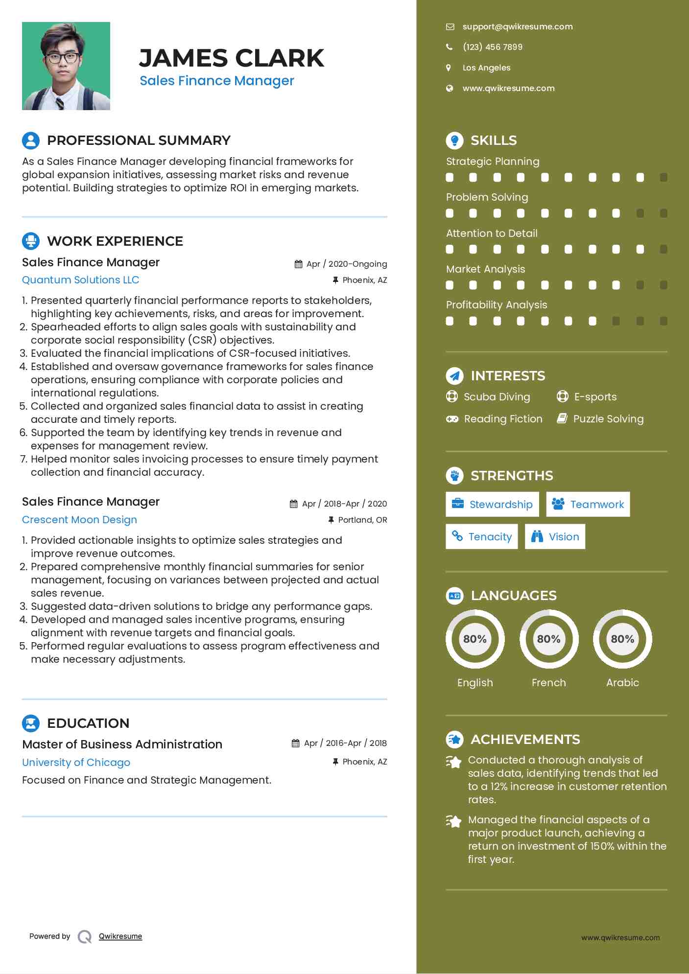 Sales Finance Manager Resume Format