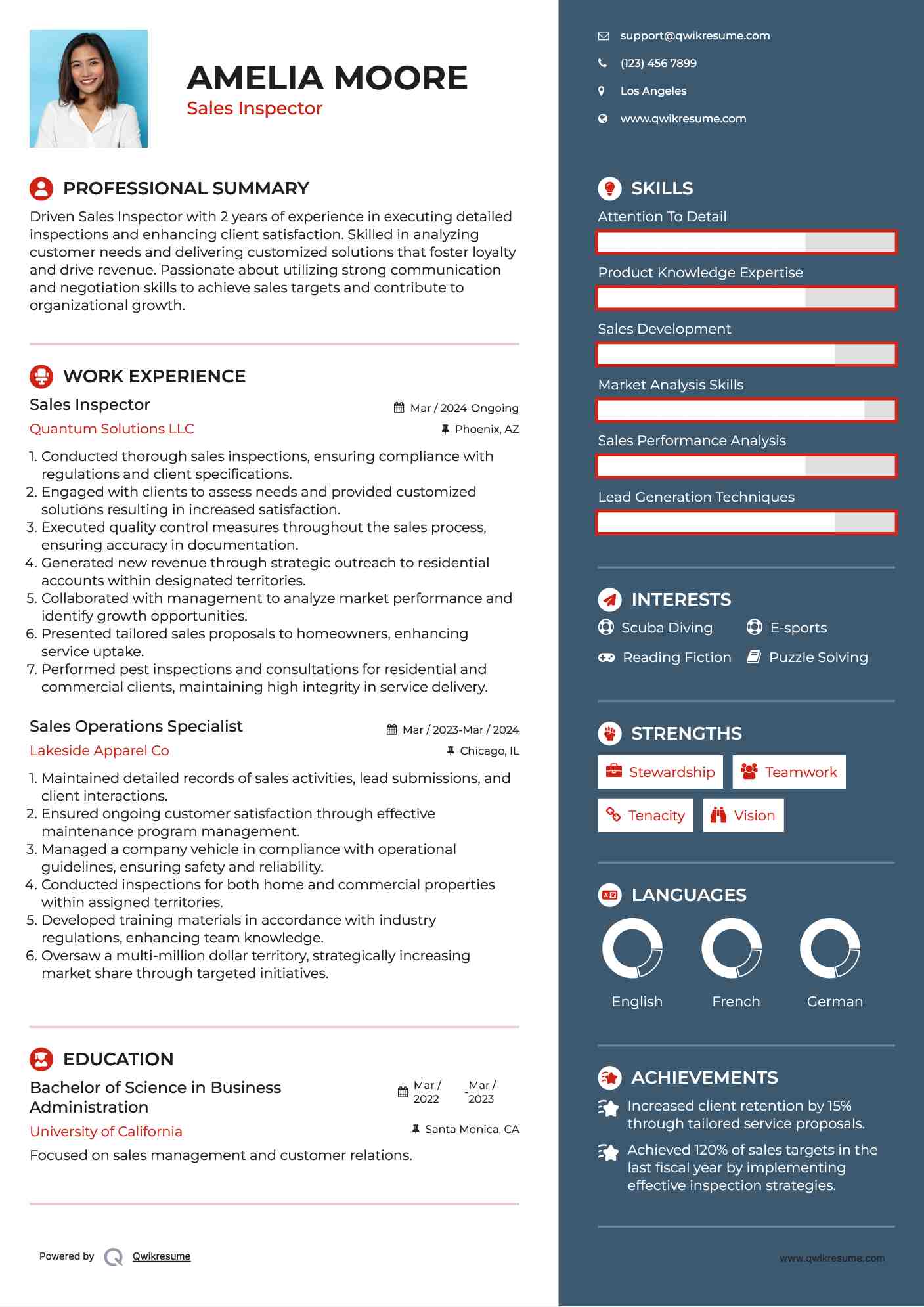 Sales Inspector Resume Format