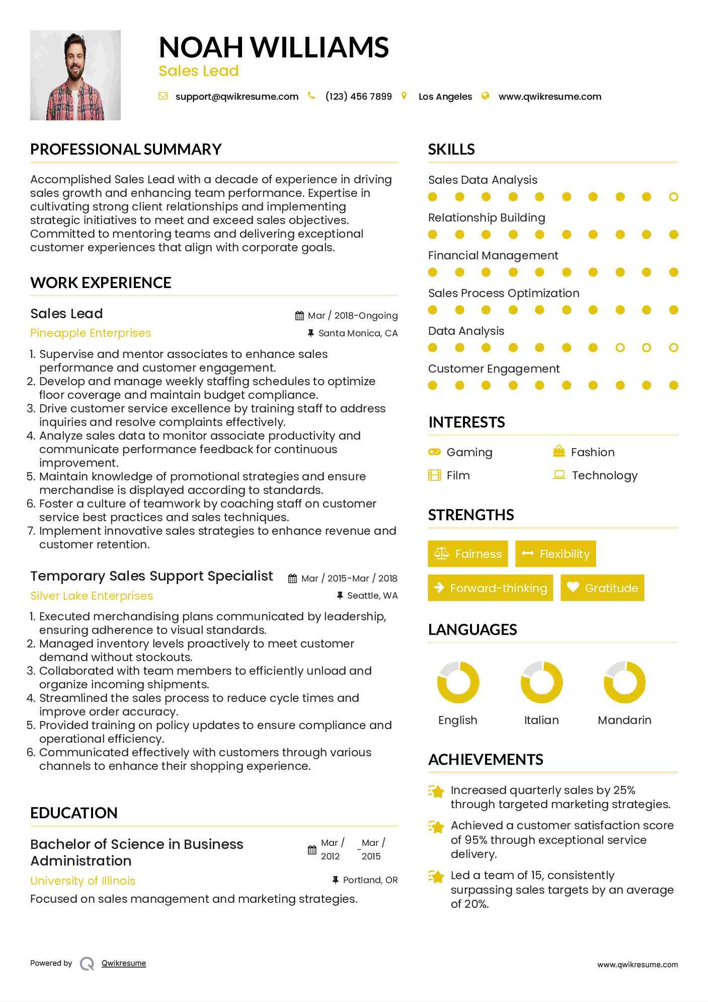 Sales Lead Resume Format