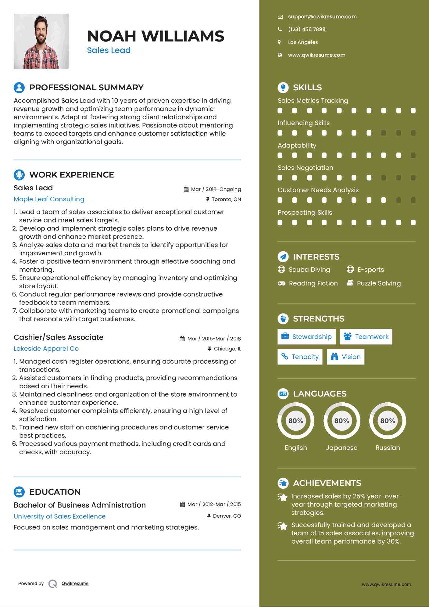 Sales Lead Resume Sample