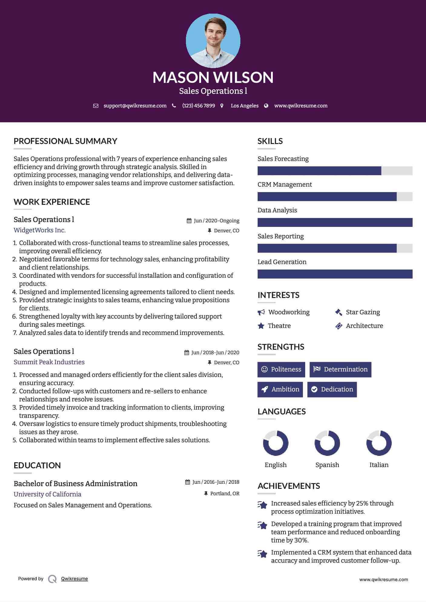 Sales Operations l Resume Example