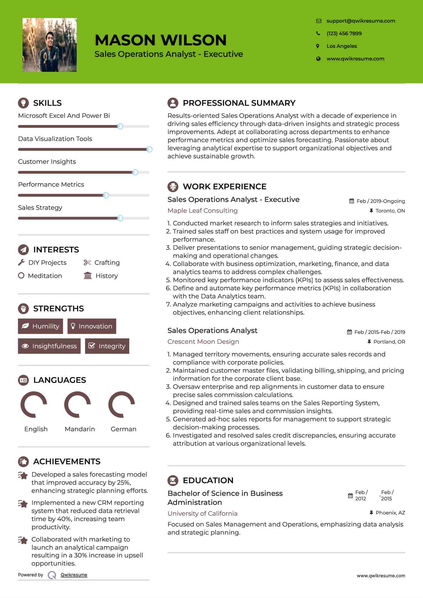 Sales Operations Analyst - Executive Resume Example