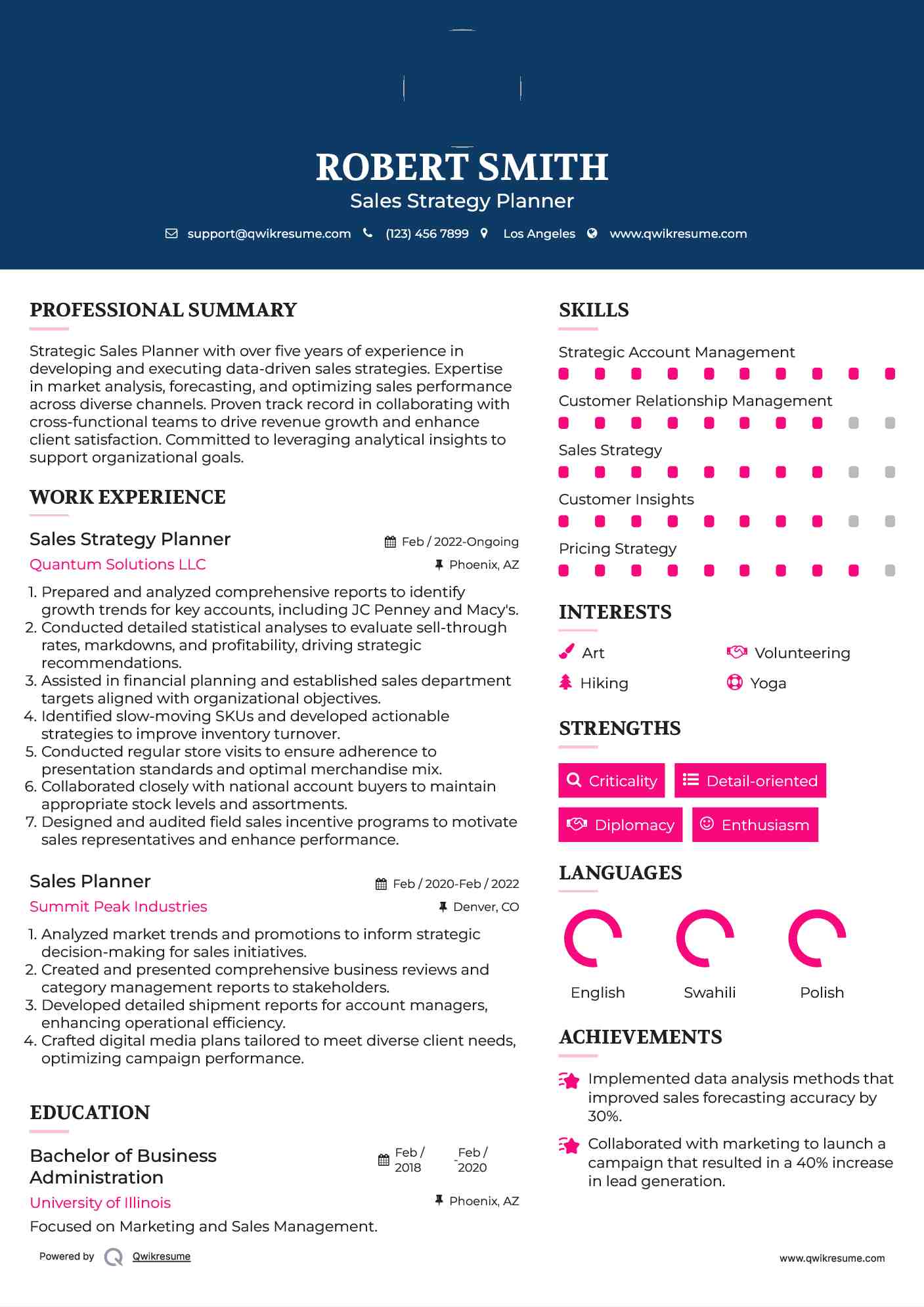 Sales Strategy Planner
 Resume Format