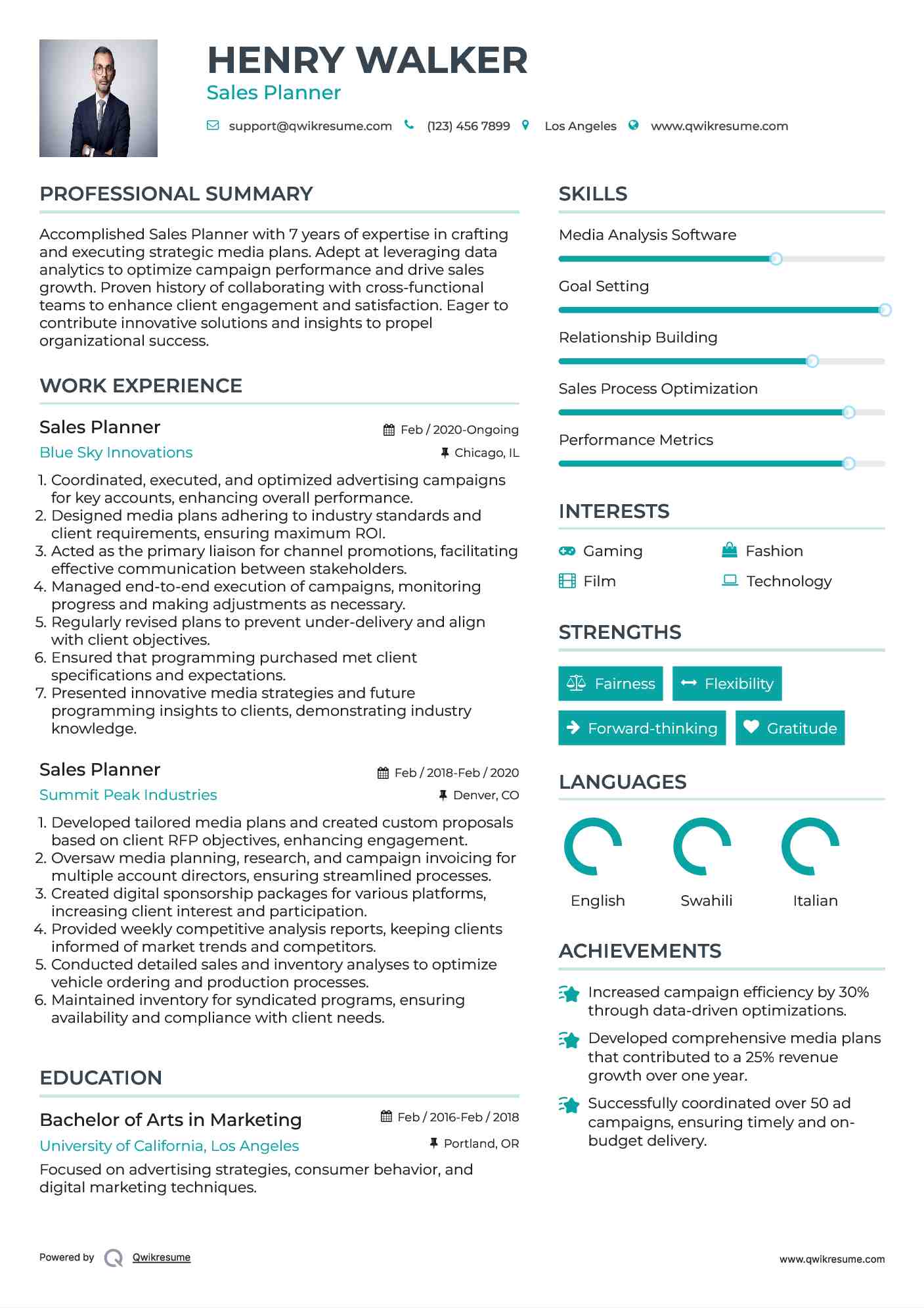 Sales Planner Resume Model