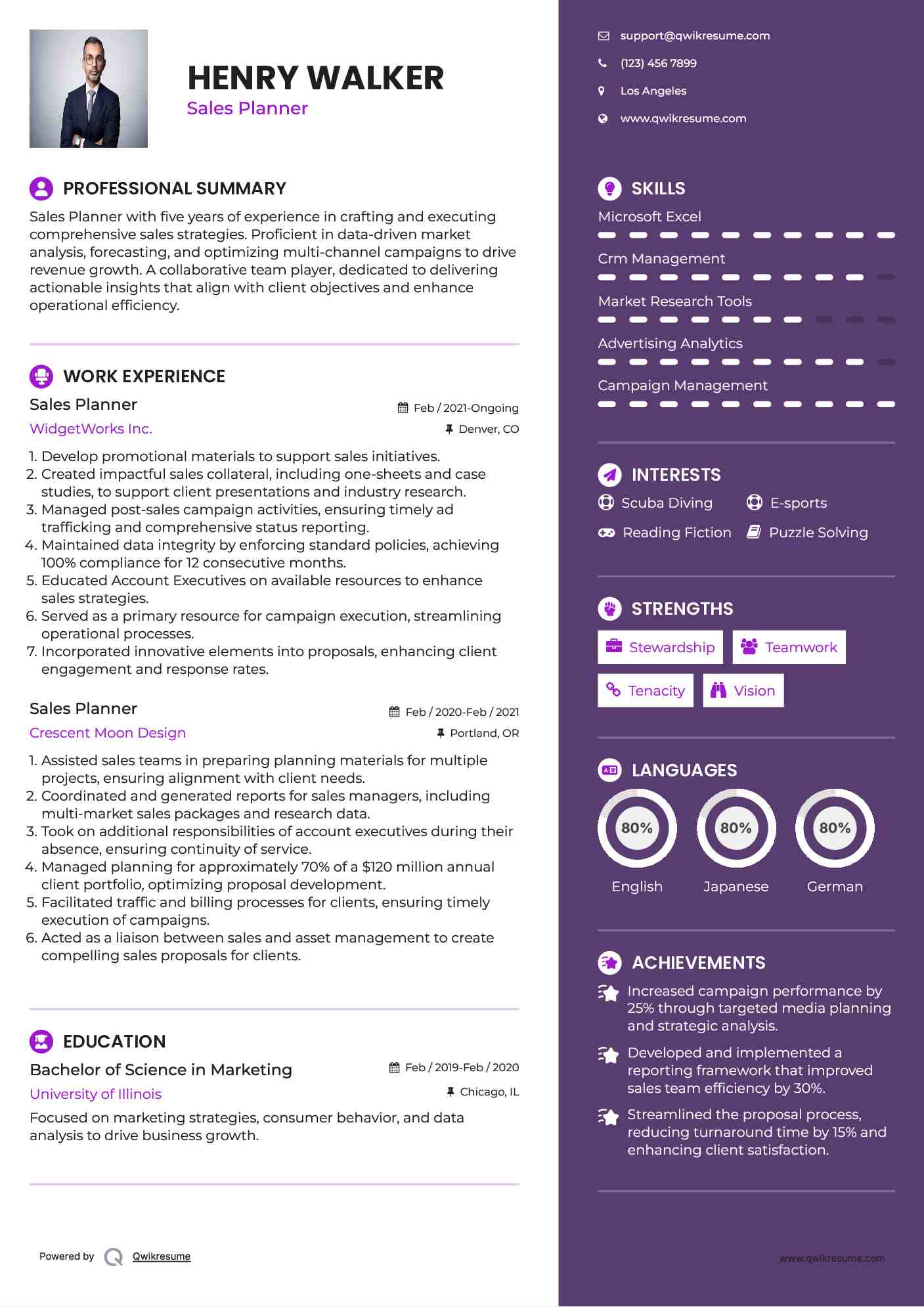 Sales Planner Resume Model