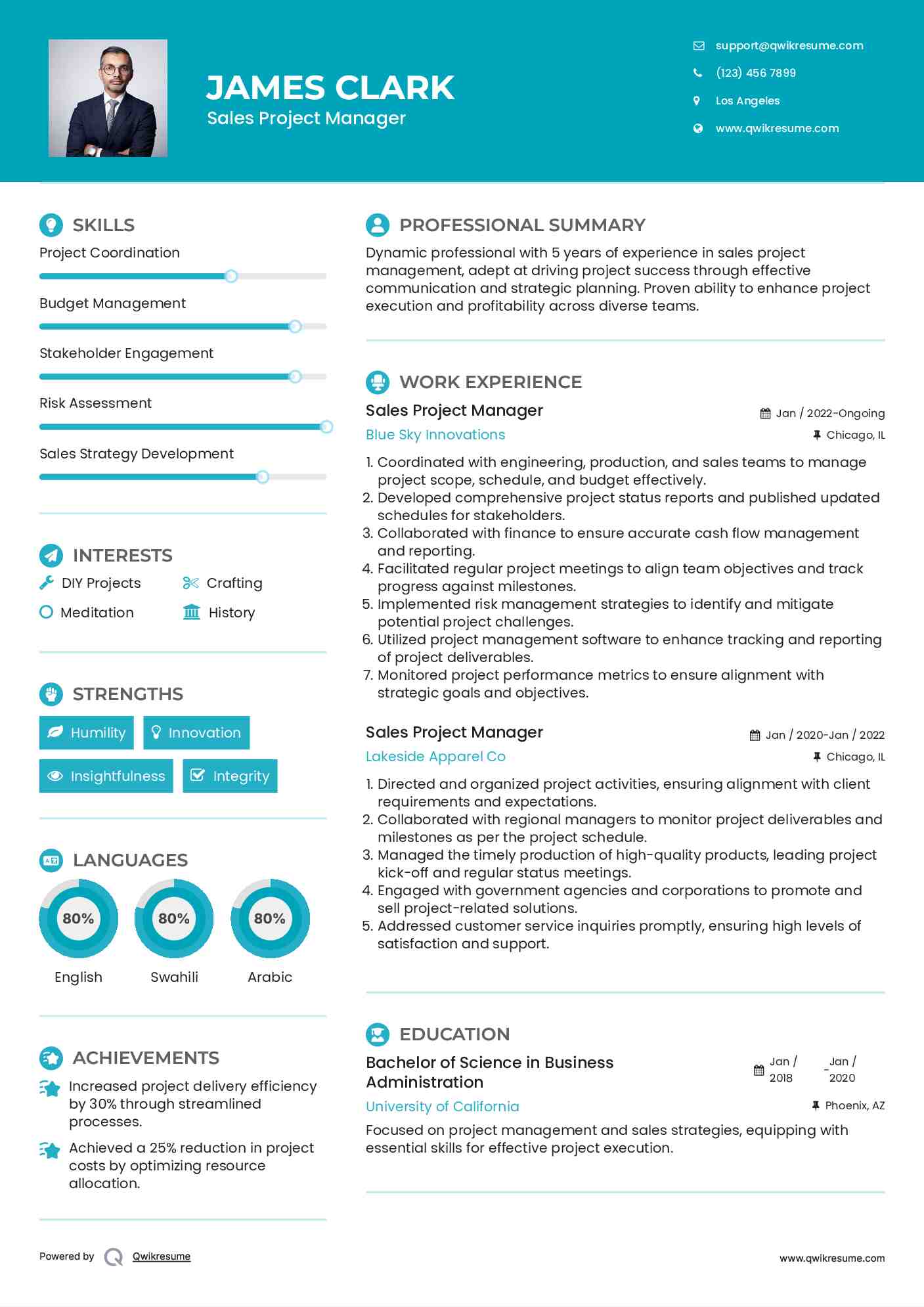 Sales Project Manager Resume Sample