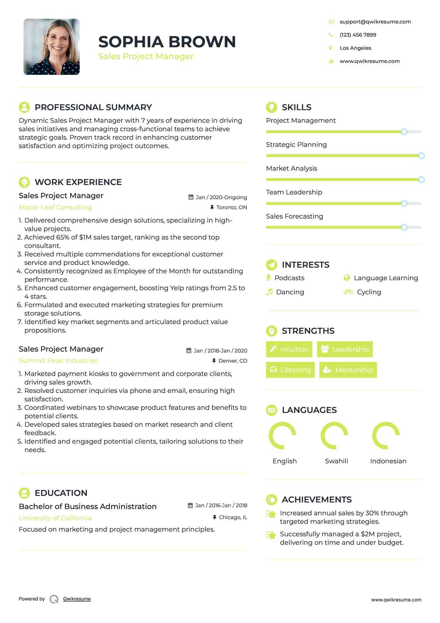 Sales Project Manager Resume Sample