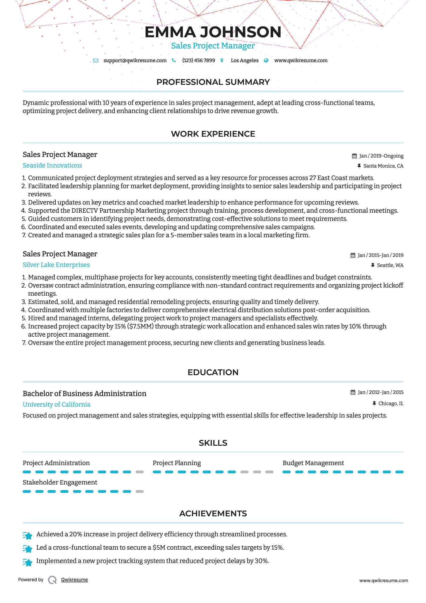 Sales Project Manager Resume Sample