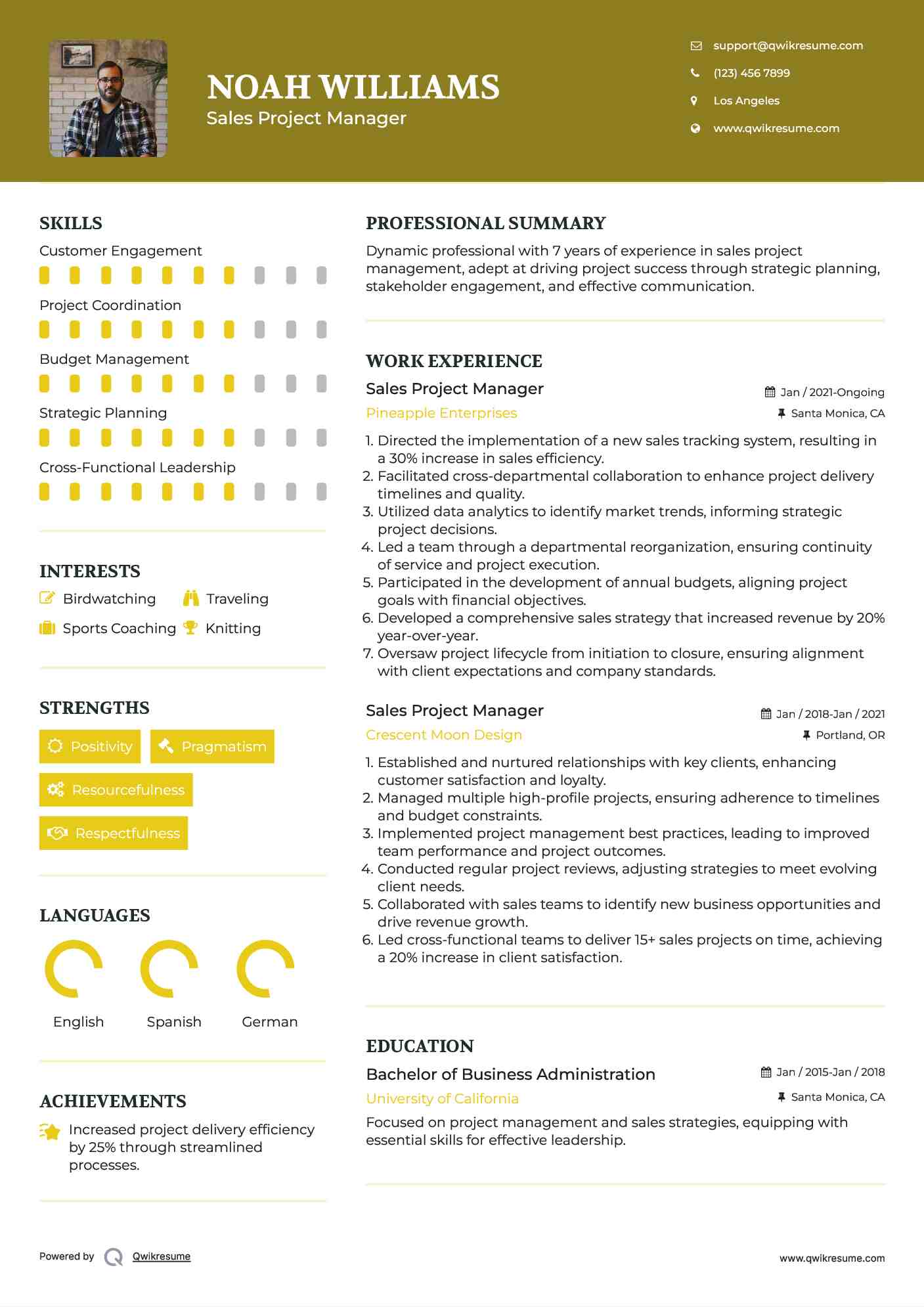 Sales Project Manager Resume Template
