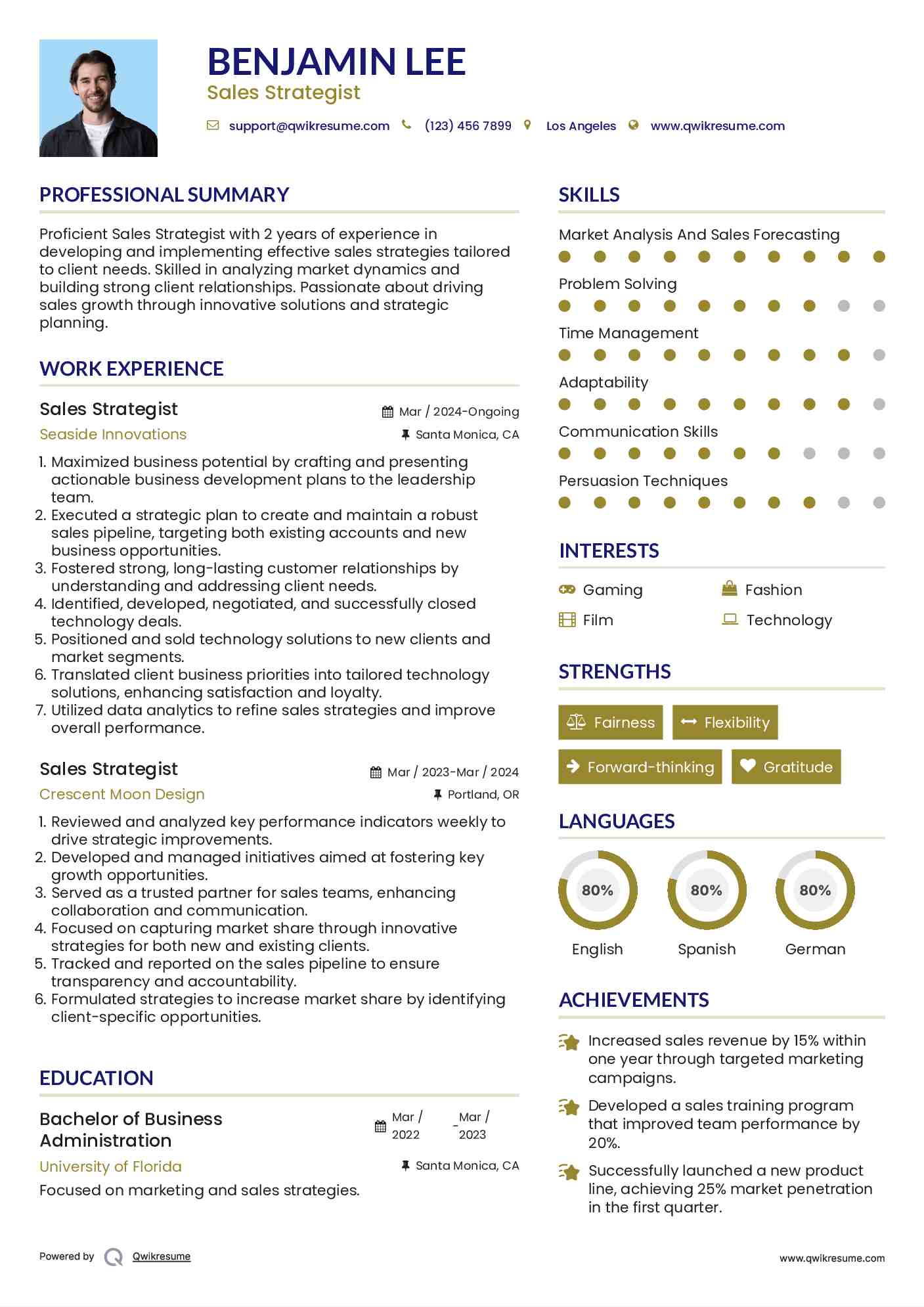 Sales Strategist Resume Sample