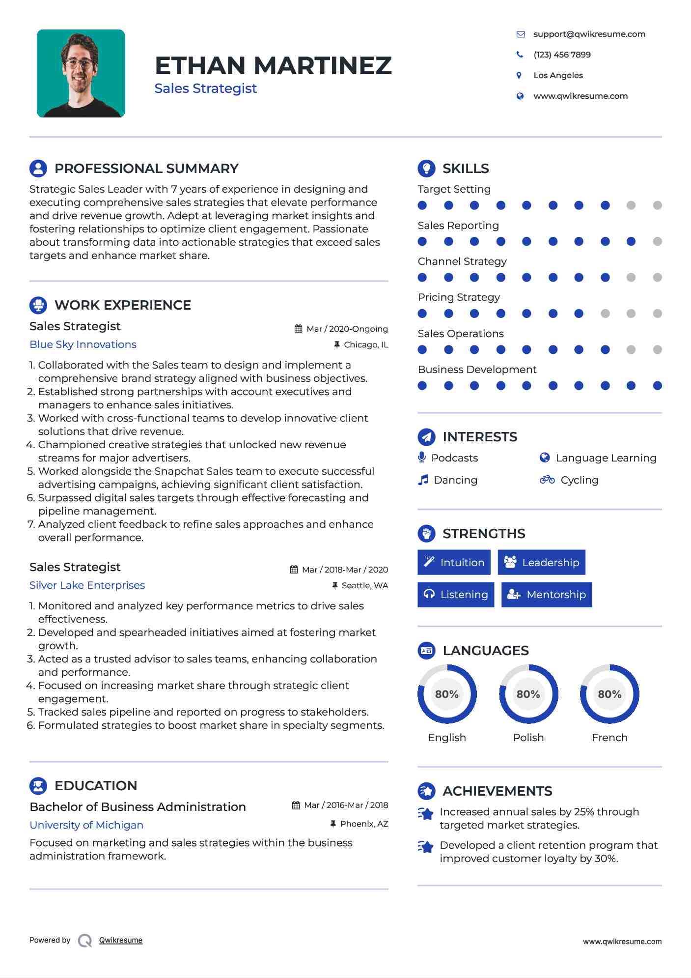 Sales Strategist Resume Model