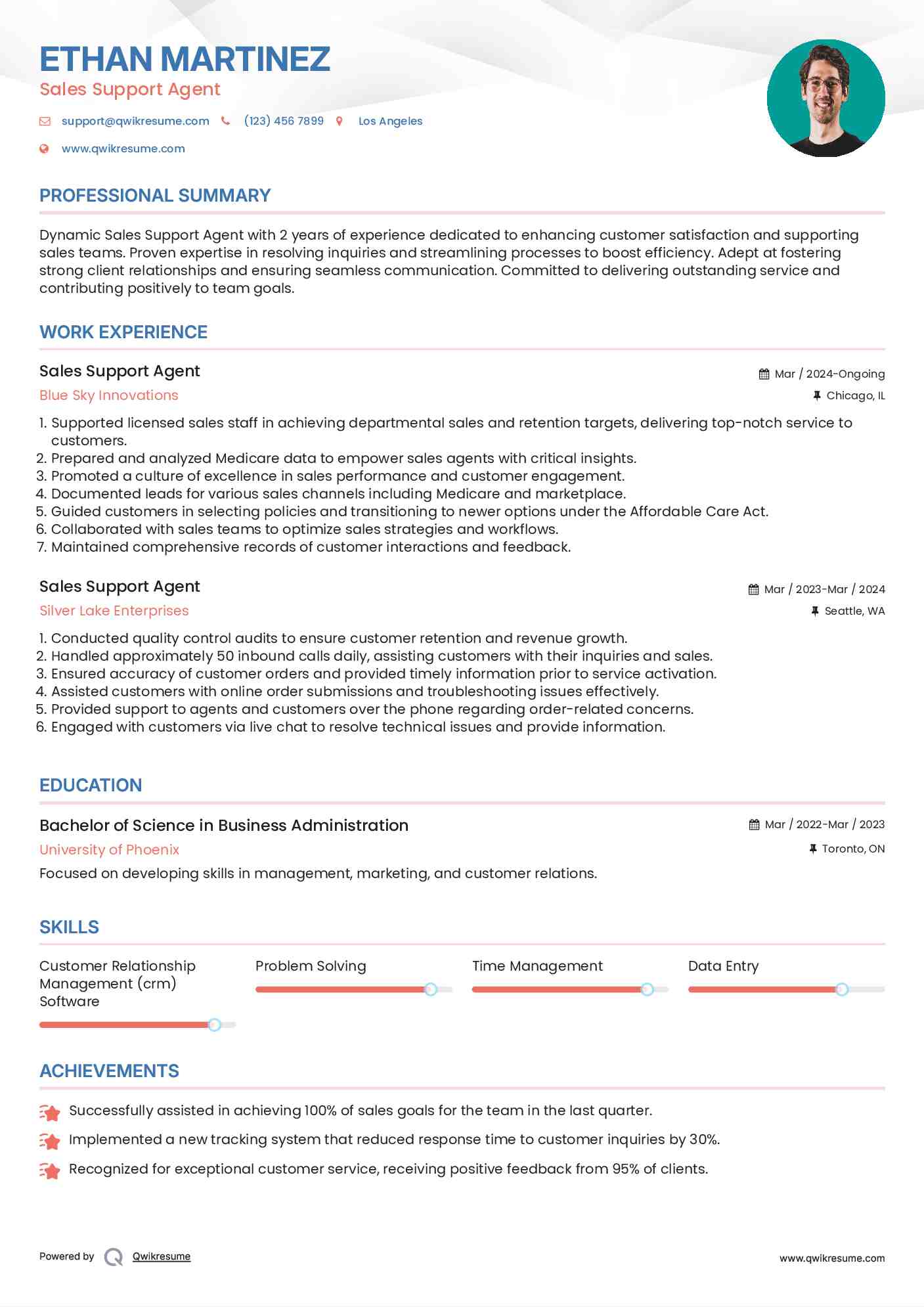 Sales Support Agent Resume Sample