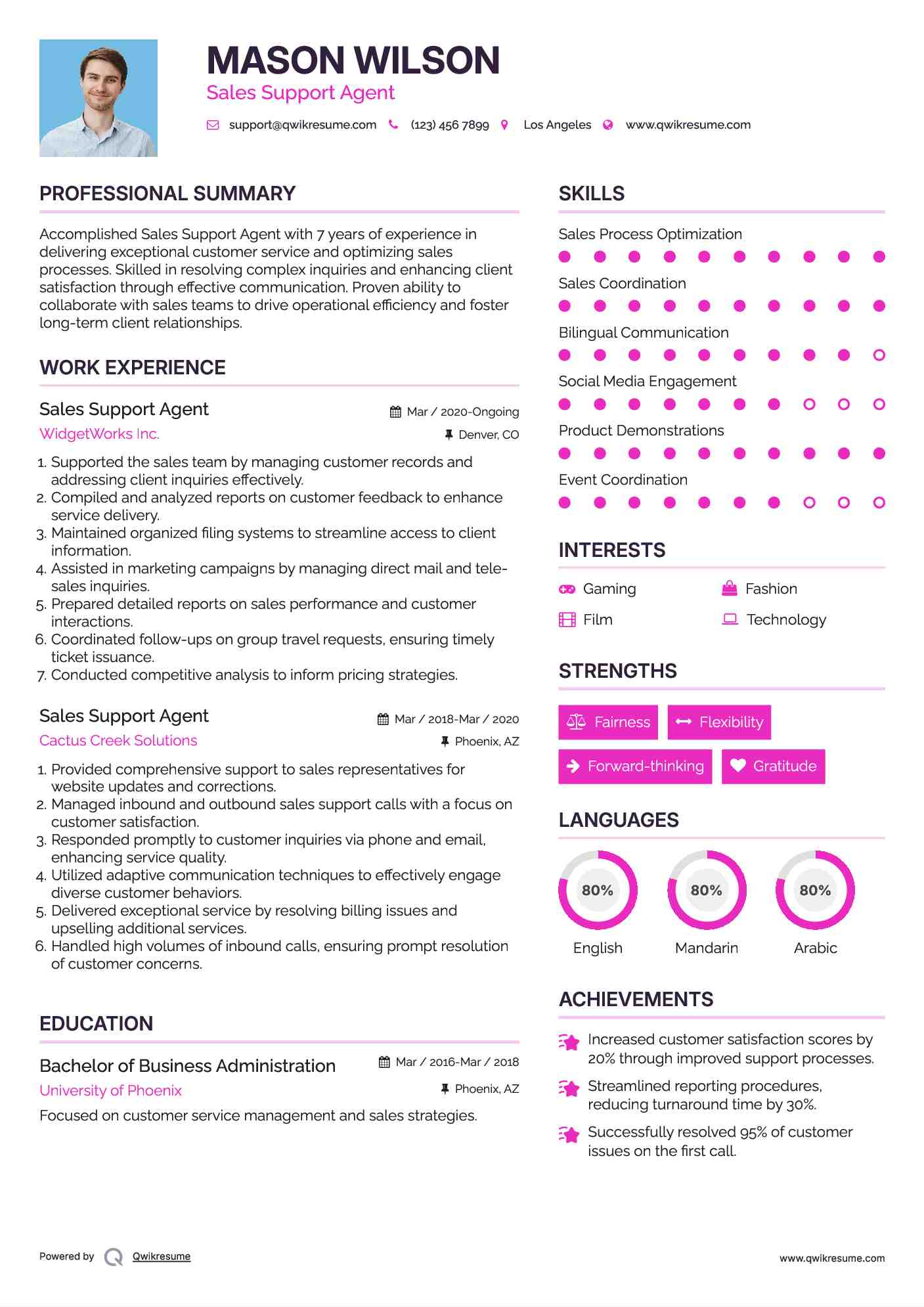 Sales Support Agent Resume Model