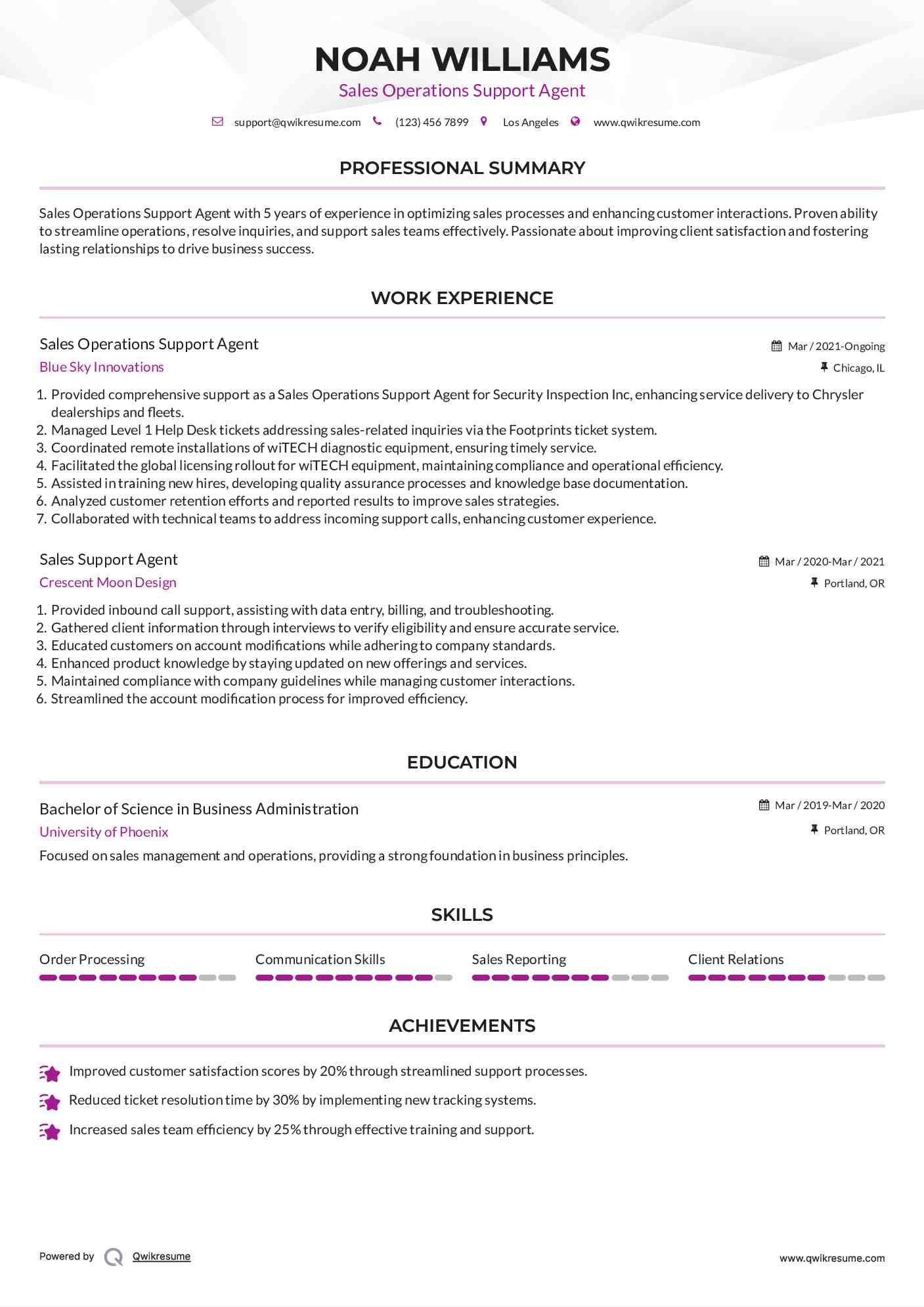Sales Operations Support Agent Resume Example