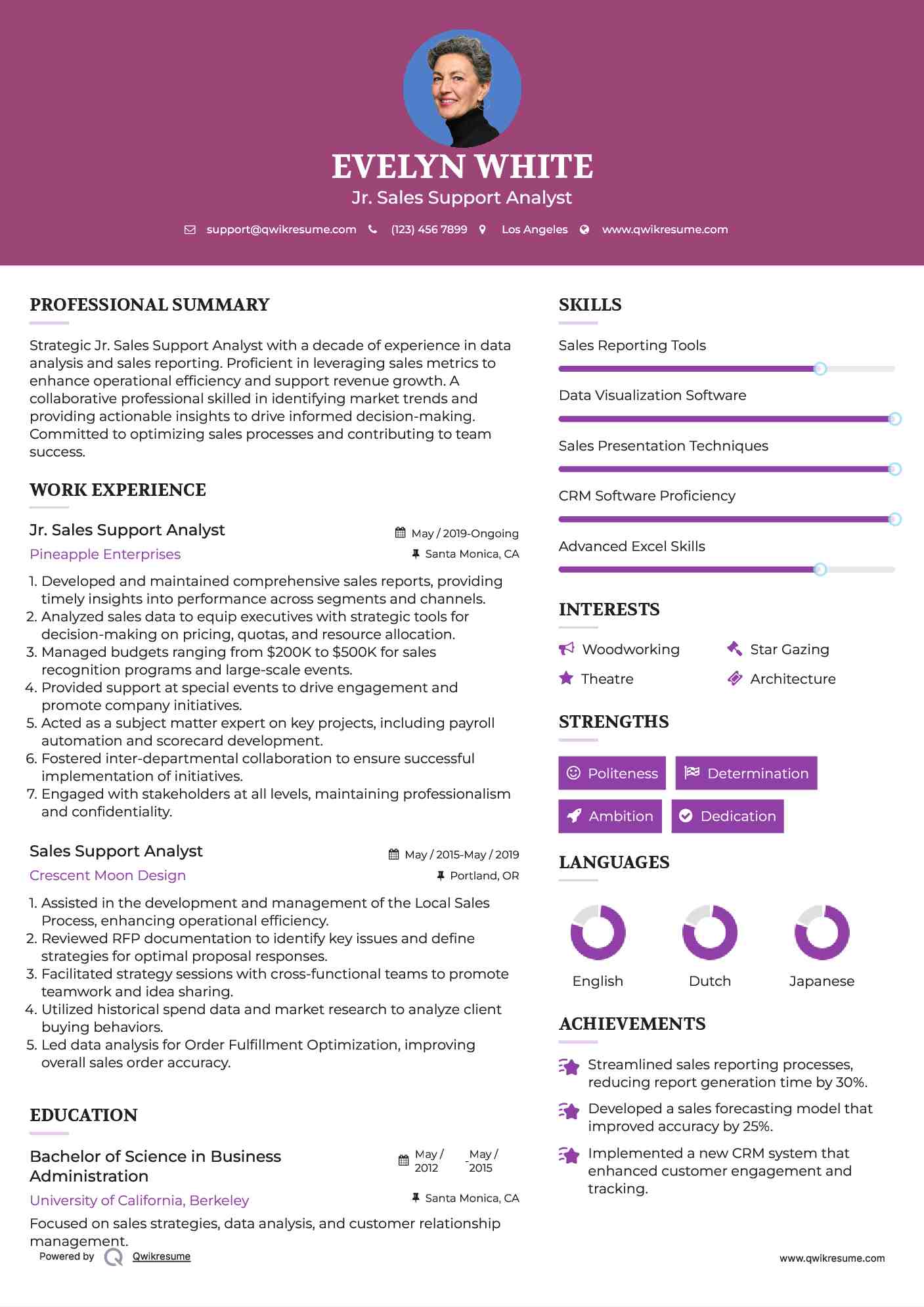 Jr. Sales Support Analyst Resume Model