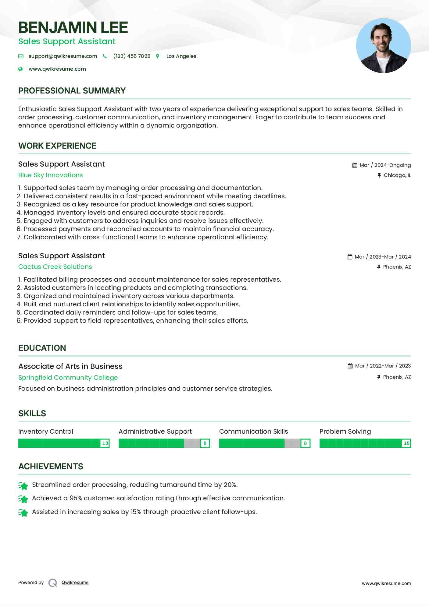 Sales Support Assistant Resume Example