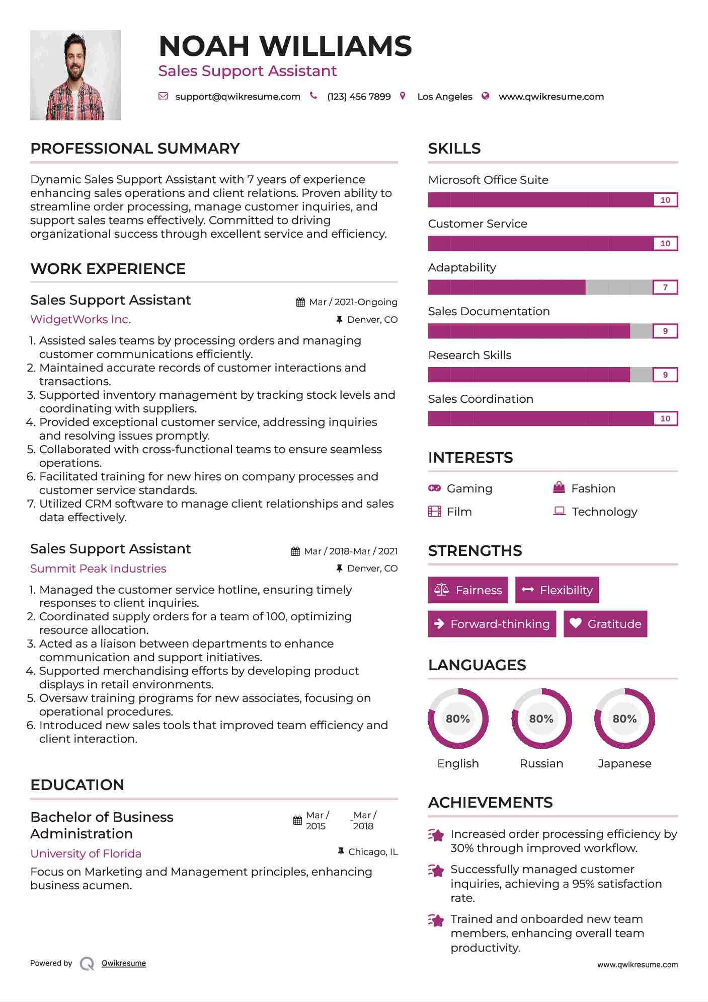 Sales Support Assistant Resume Model