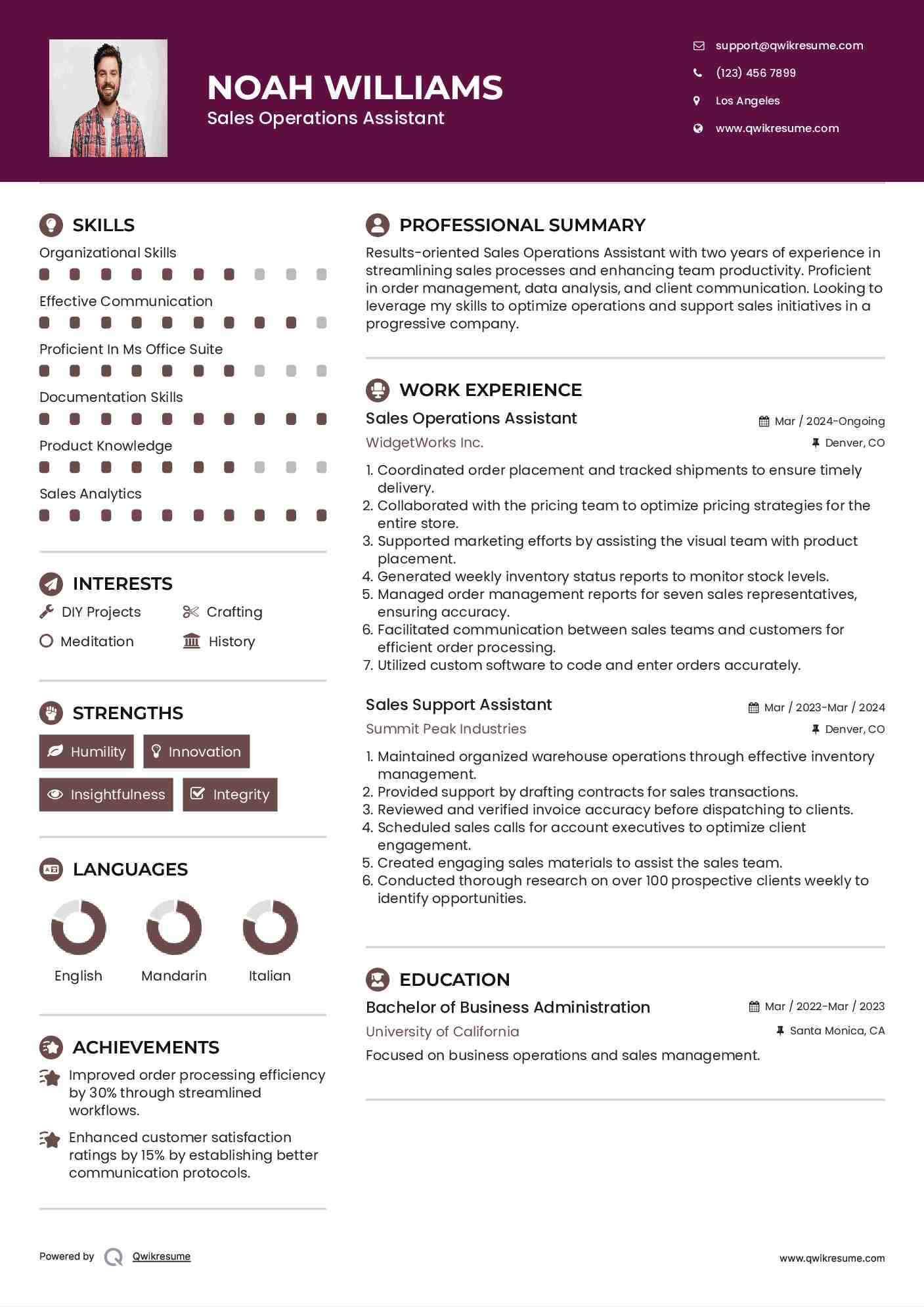 Sales Operations Assistant Resume Format