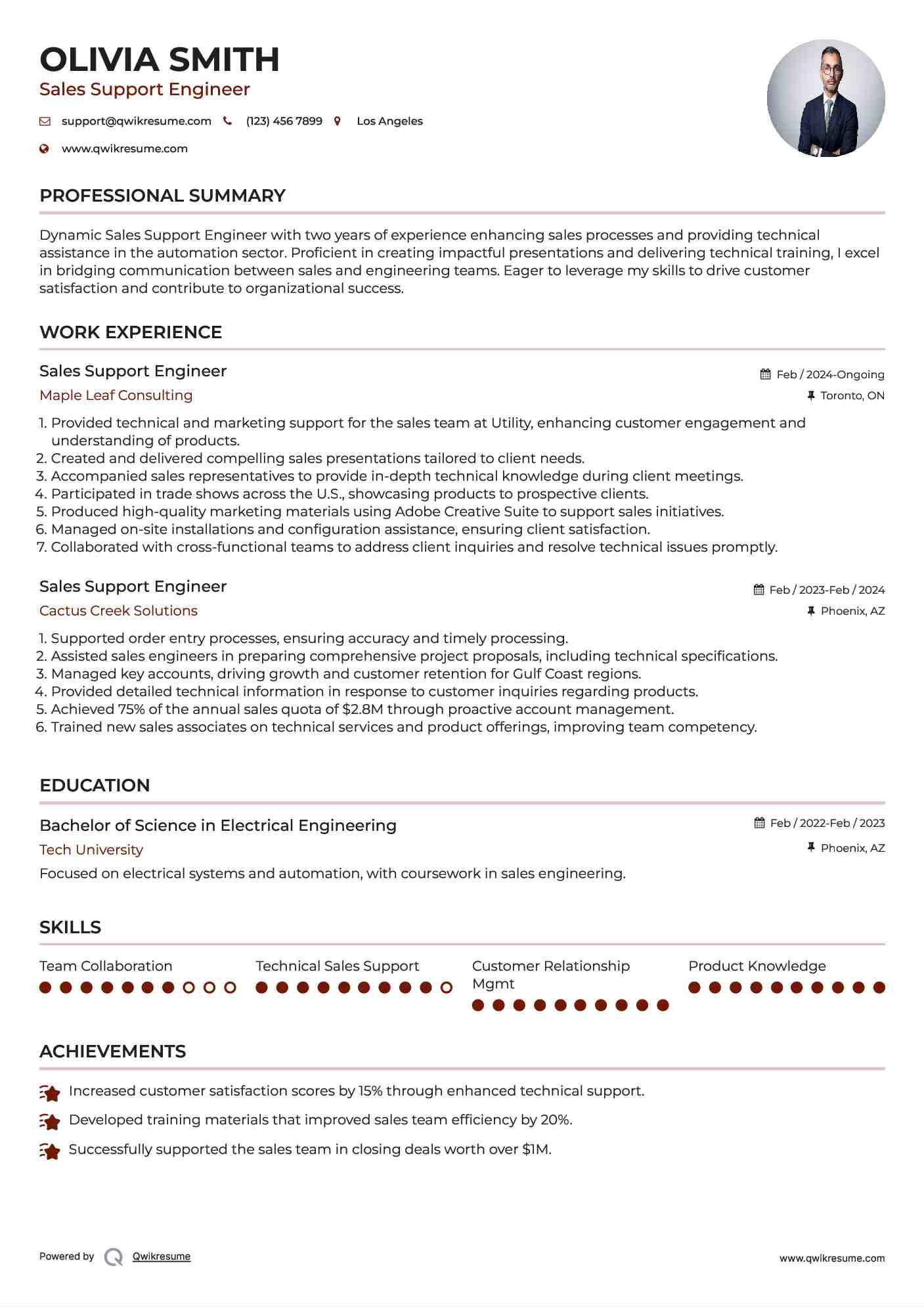 Sales Support Engineer Resume Example