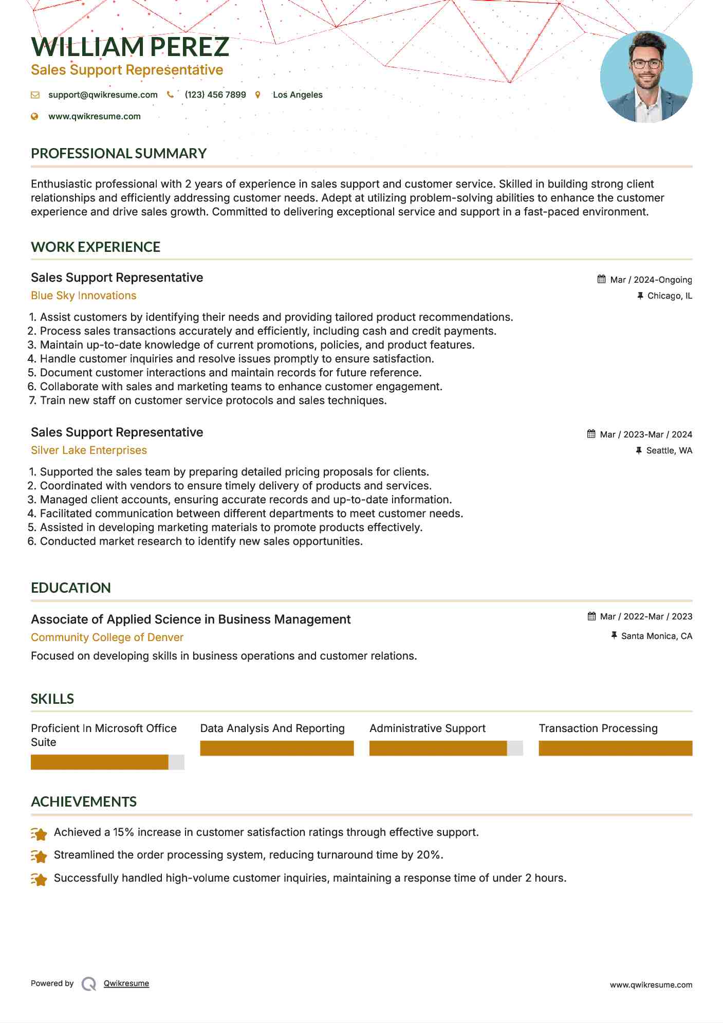 Sales Support Representative Resume Model