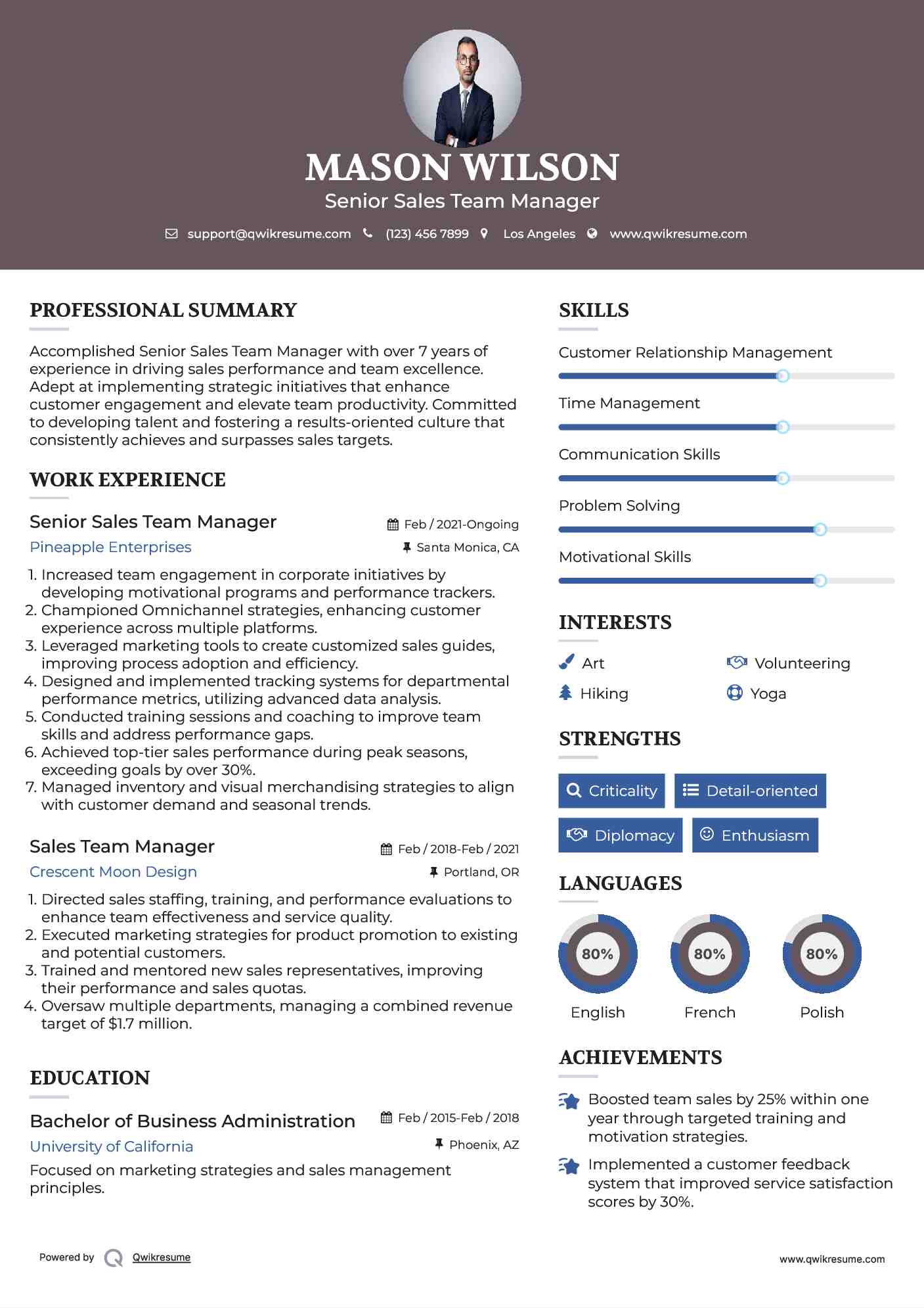 Senior Sales Team Manager Resume Sample
