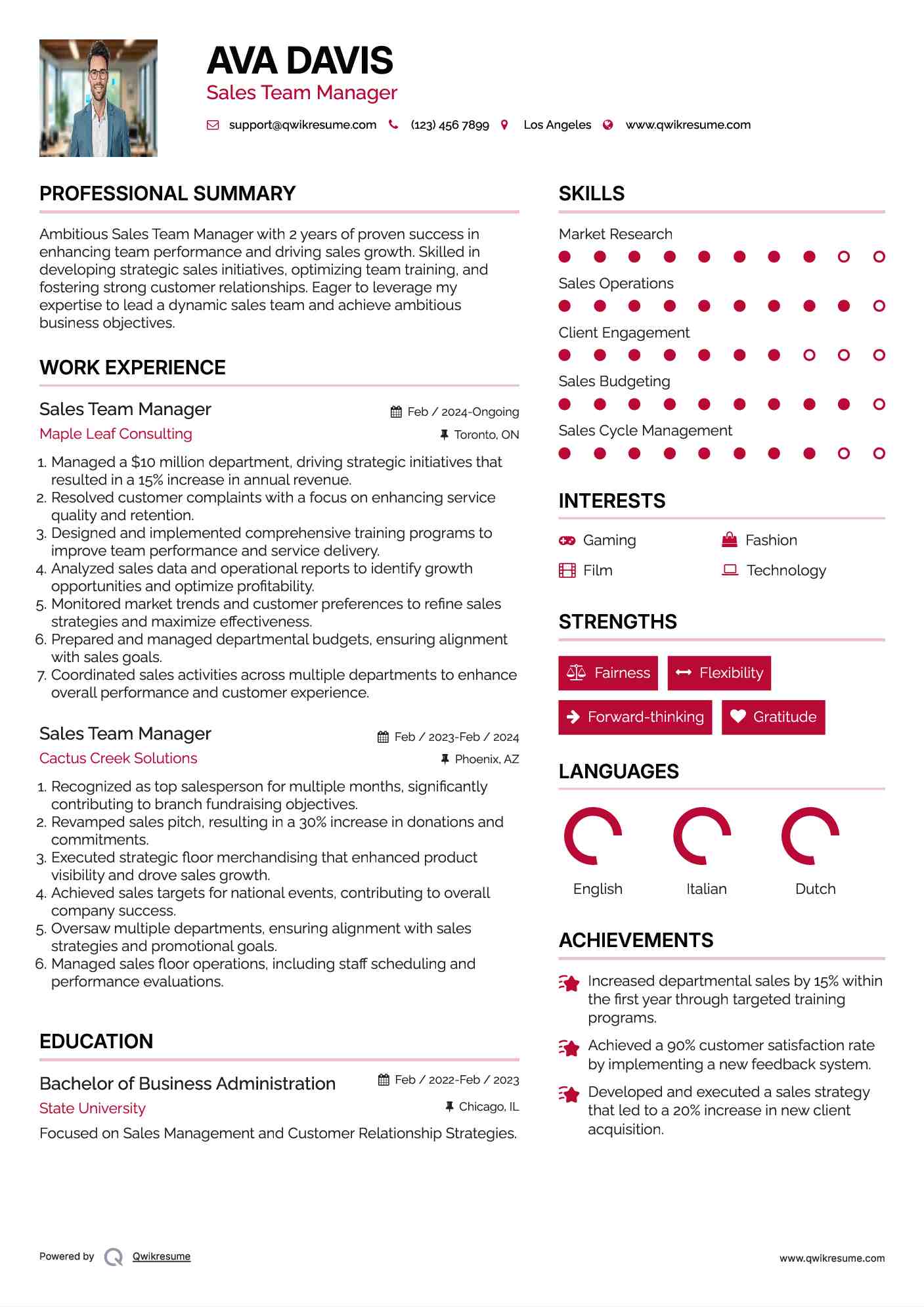 Sales Team Manager Resume Model