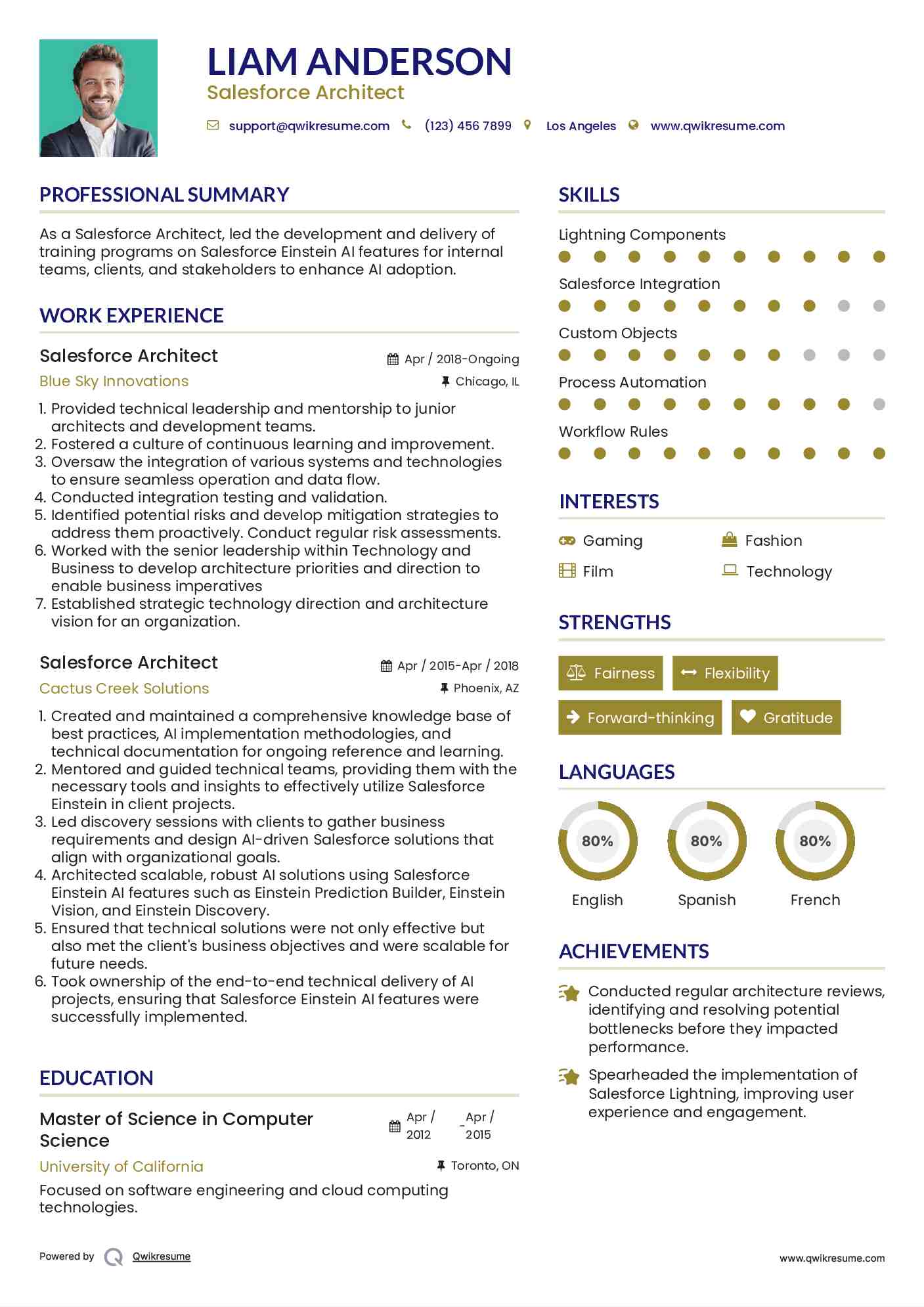Salesforce Architect Resume Example