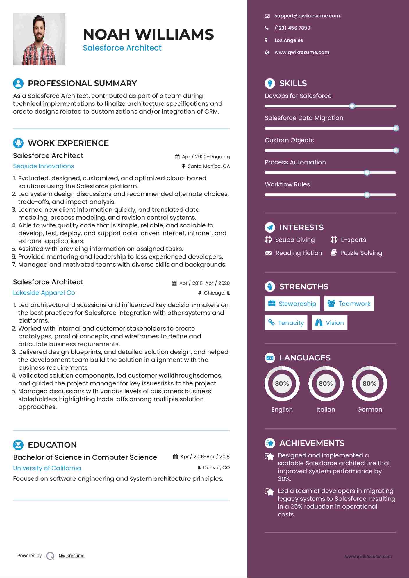Salesforce Architect Resume Model