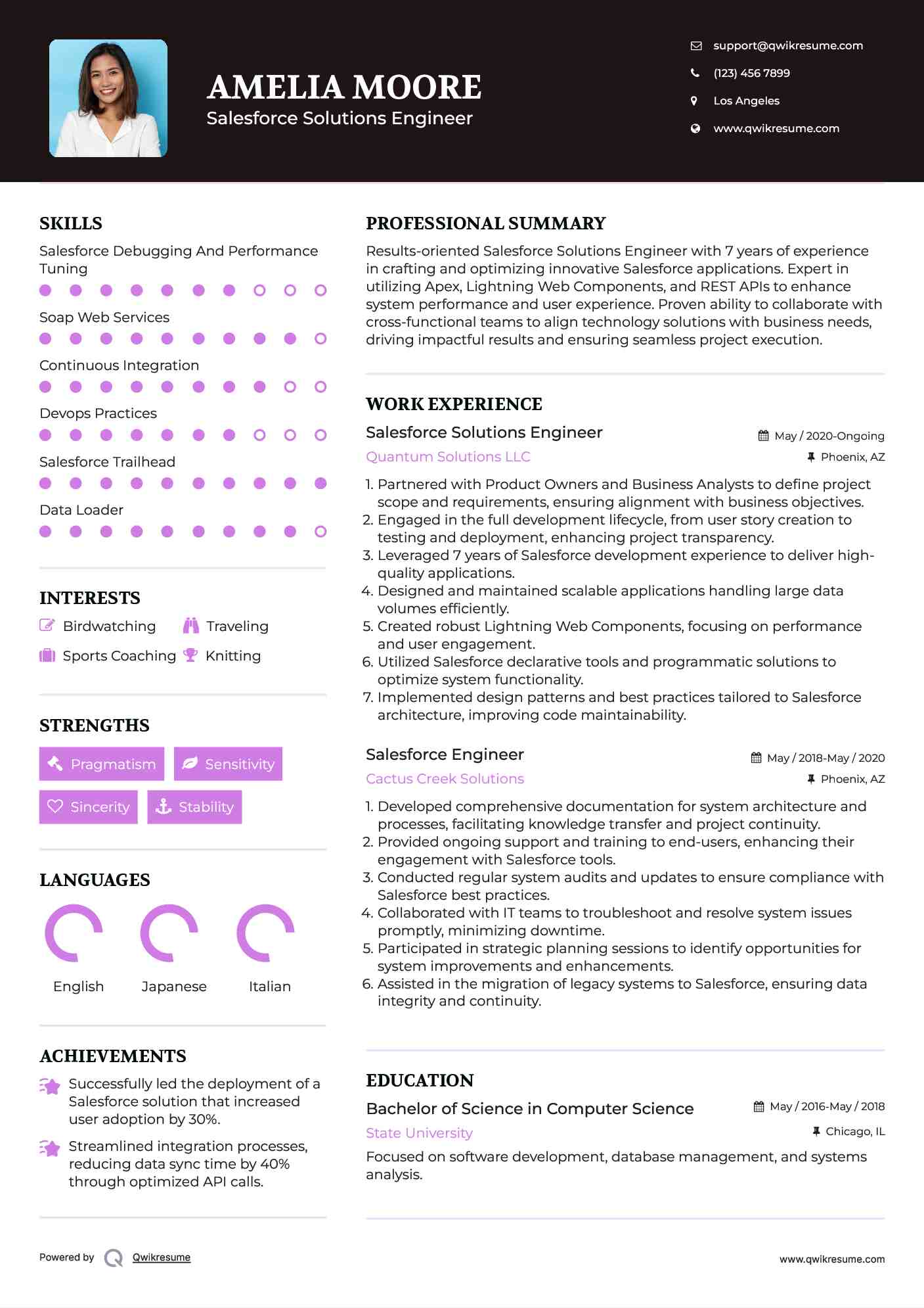 Salesforce Solutions Engineer Resume Model