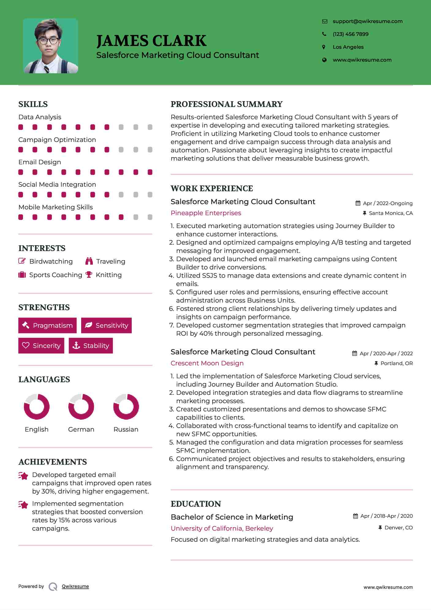 Salesforce Marketing Cloud Consultant Resume Template