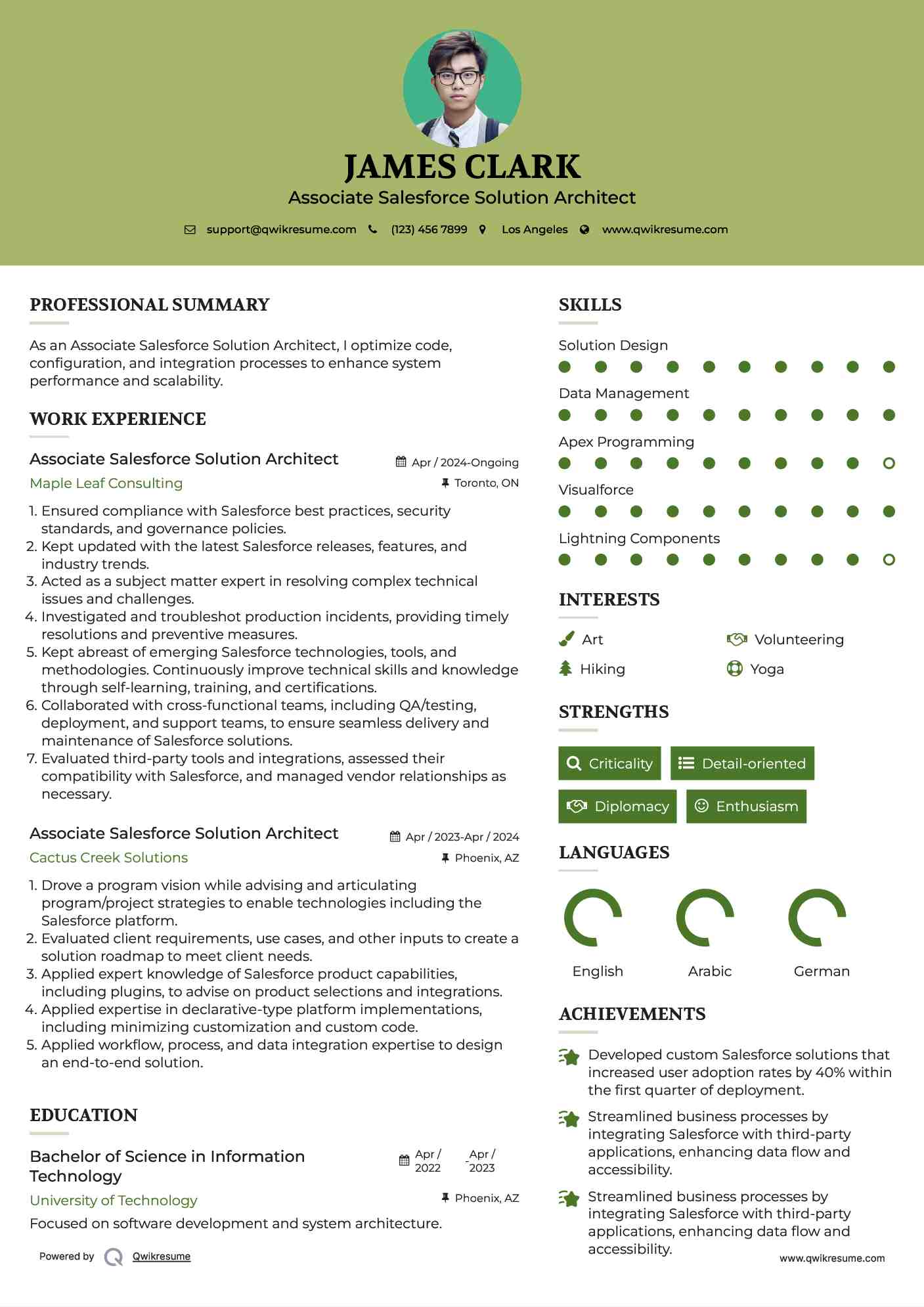 Associate Salesforce Solution Architect Resume Example